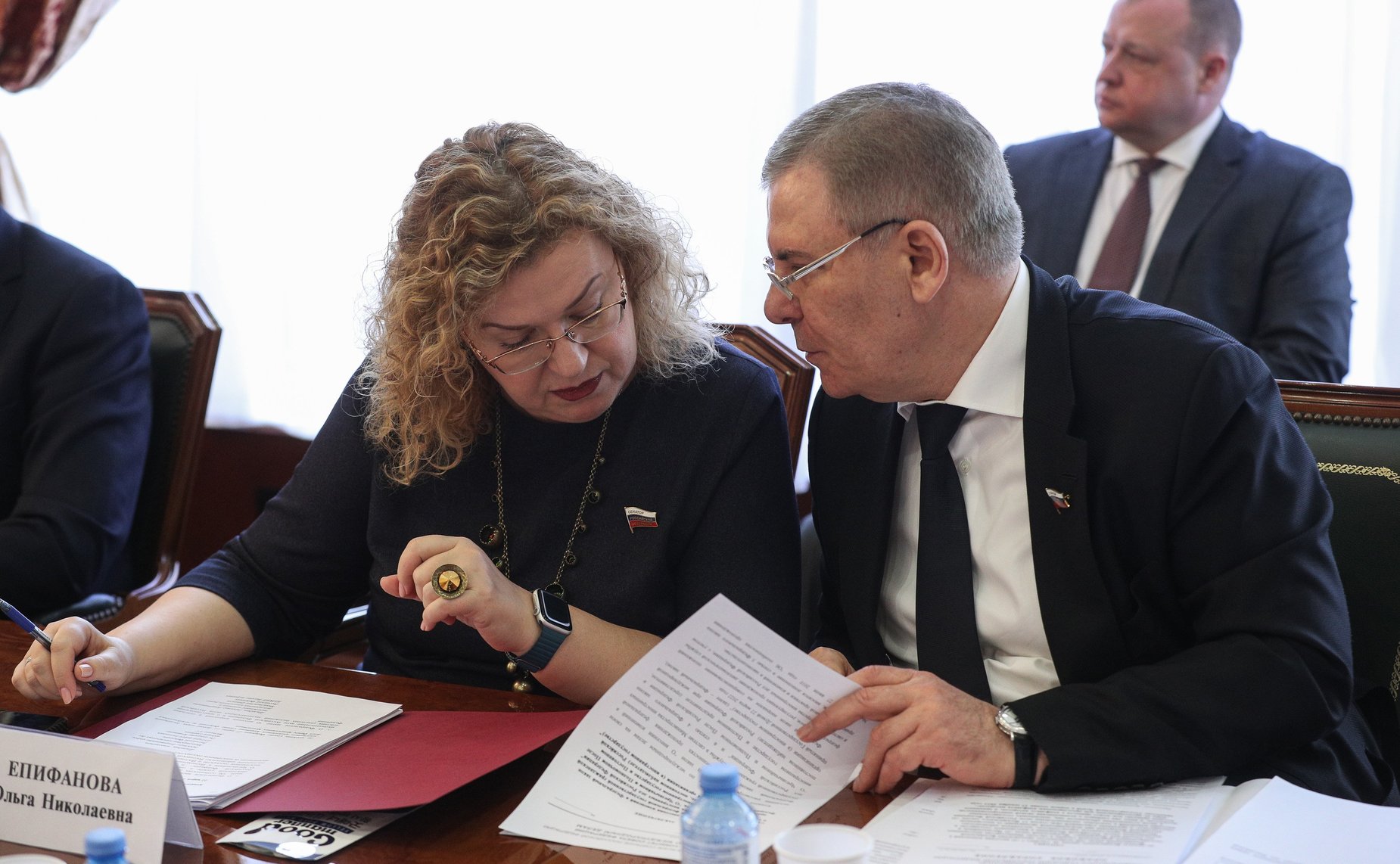 Заседание Комитета СФ по международным делам