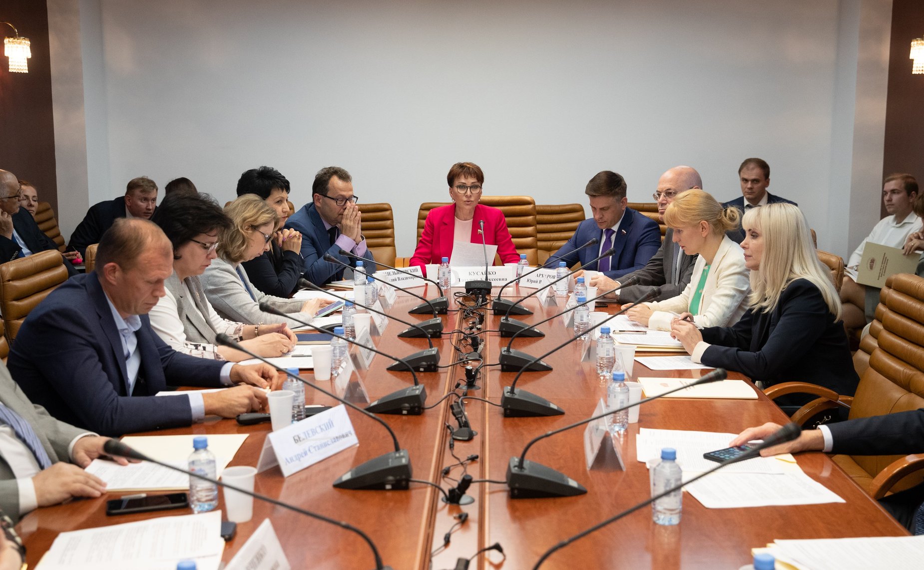 Заседание Экспертного совета по здравоохранению при Комитете СФ по социальной политике