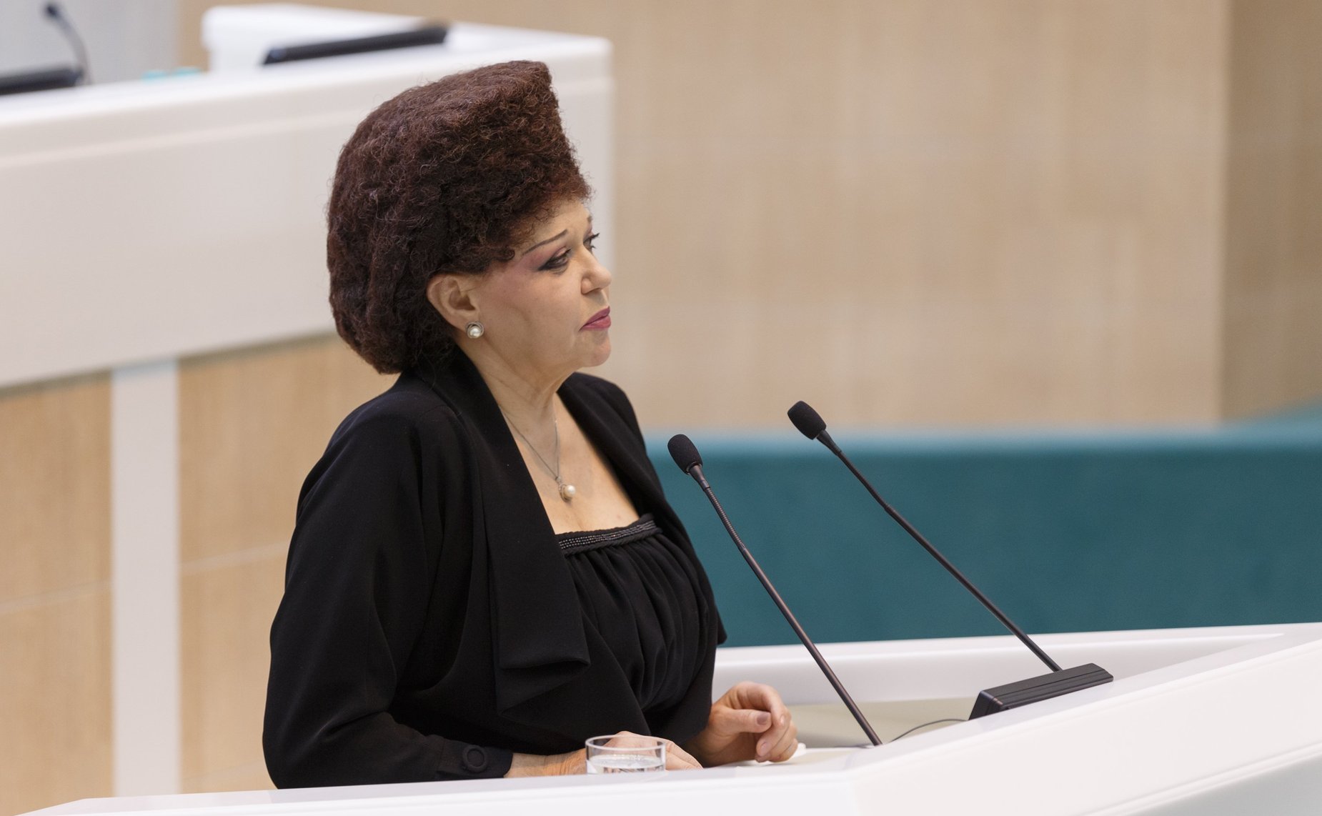 В. Петренко на 391-м заседании Совета Федерации