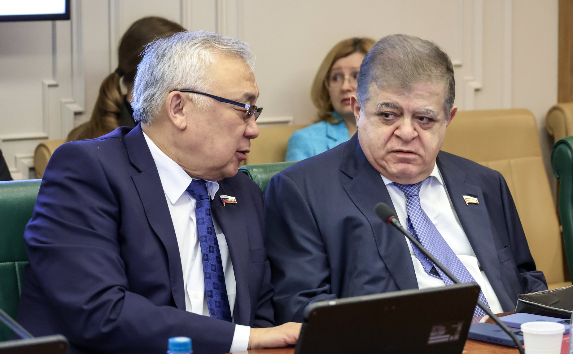 Заседание Комитета Совета Федерации по международным делам