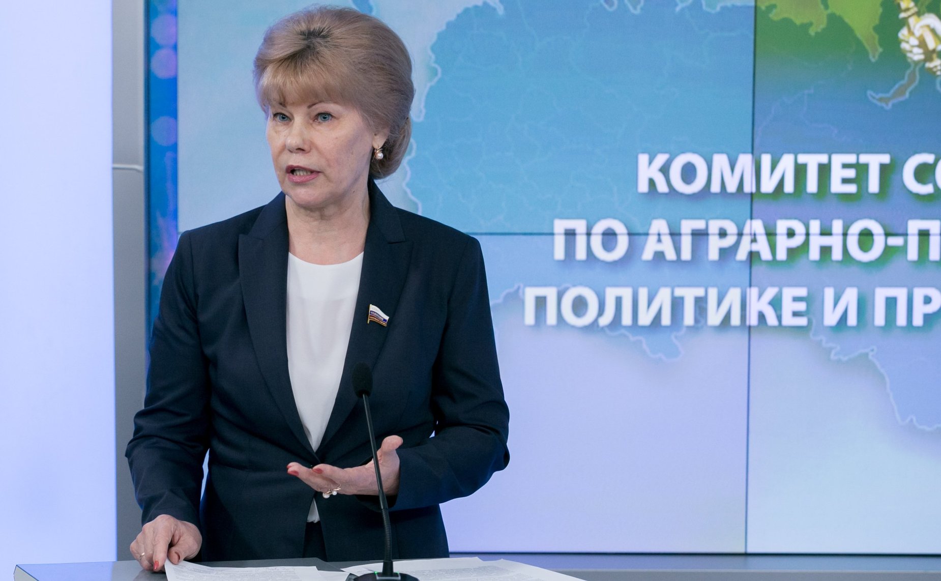 Т. Гигель на Парламентских слушаниях на тему «Законодательство и правоприменительная практика в системе распределения субвенций из федерального бюджета, предоставляемых бюджетам субъектов РФ для осуществления переданных полномочий в области лесных отношен