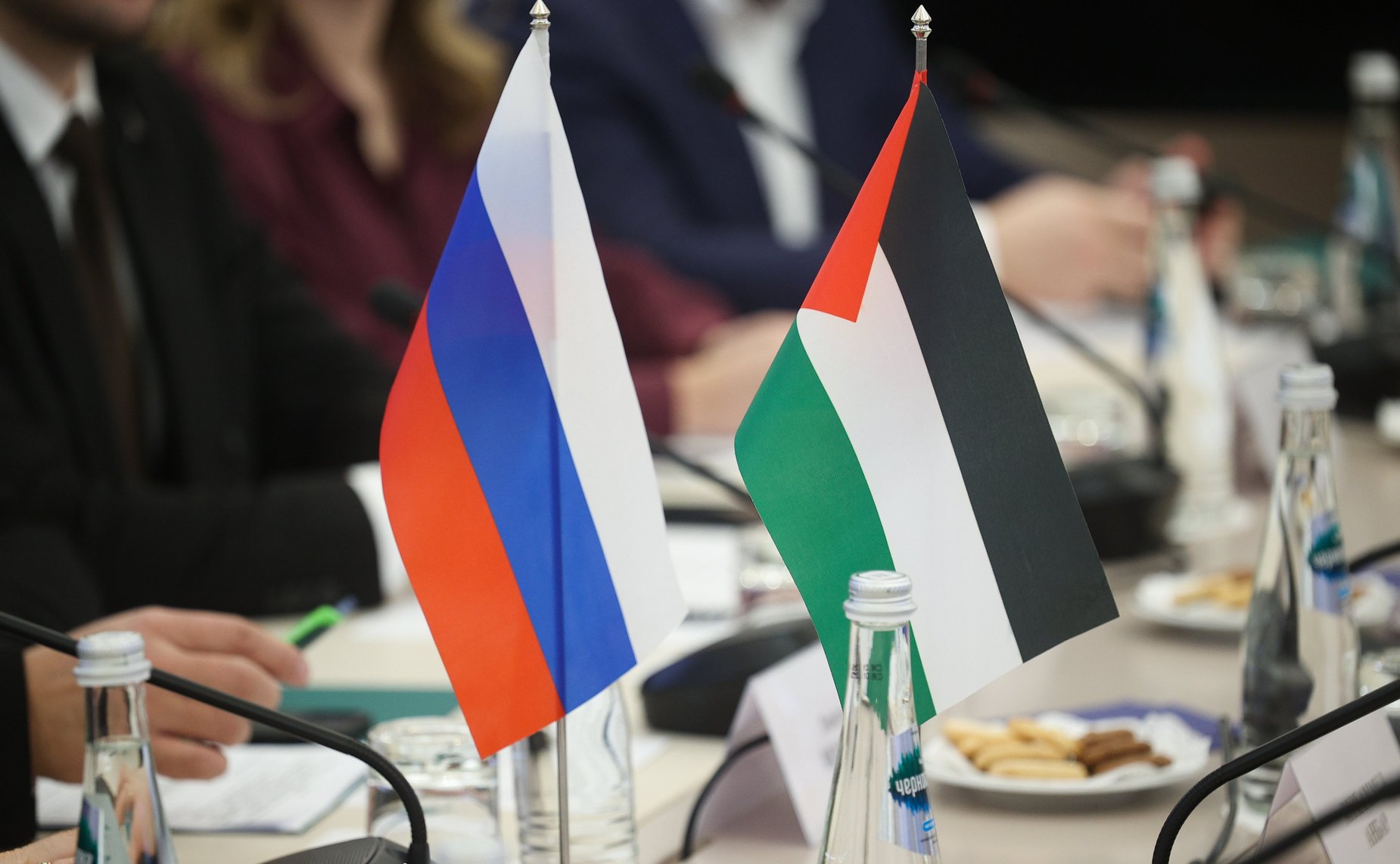 Встреча первого заместителя председателя Комитета СФ по социальной политике Александра Варфоломеева с делегациями Национального совета Государства Палестина и Всеобщего союза Палестинских студентов, обучающихся в РФ