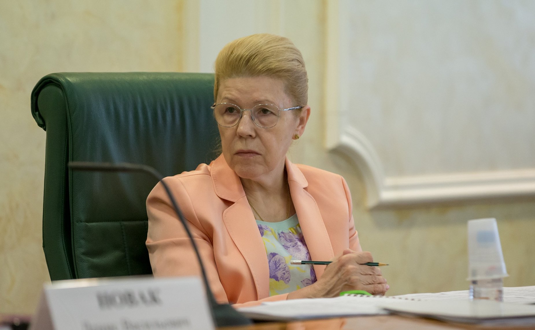 Елена Мизулина