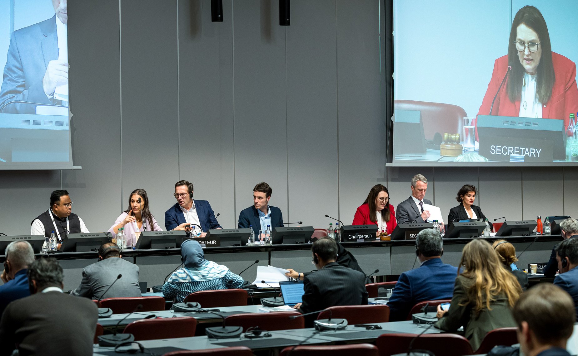 Сенаторы РФ приняли участие в заседании Постоянного комитета по вопросам демократии и прав человека Межпарламентского союза