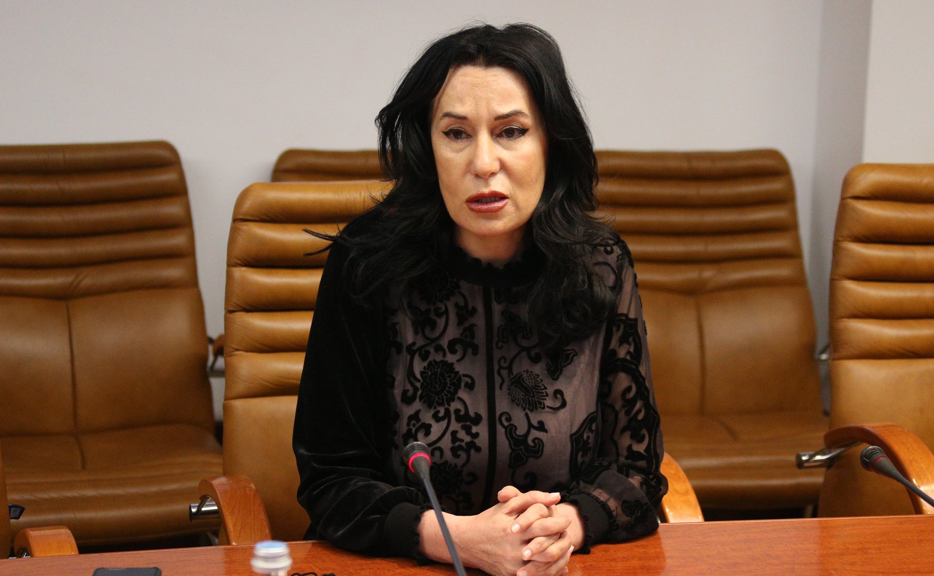 Встреча Владимира Джабарова с генеральным секретарем партии «Процветающая Армения», депутатом Национального Собрания Республики Армения Наирой Зограбян