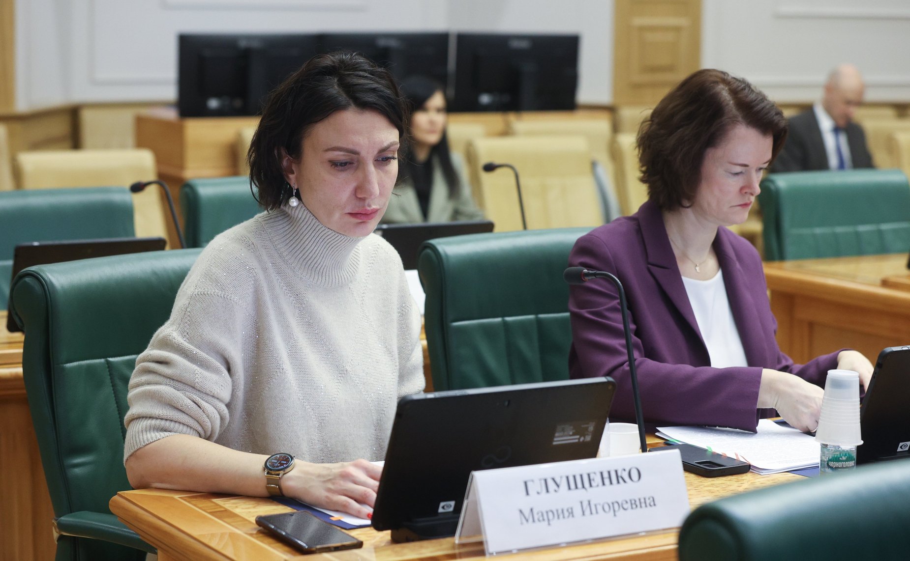 Заседание Комитета Совета Федерации по конституционному законодательству и государственному строительству