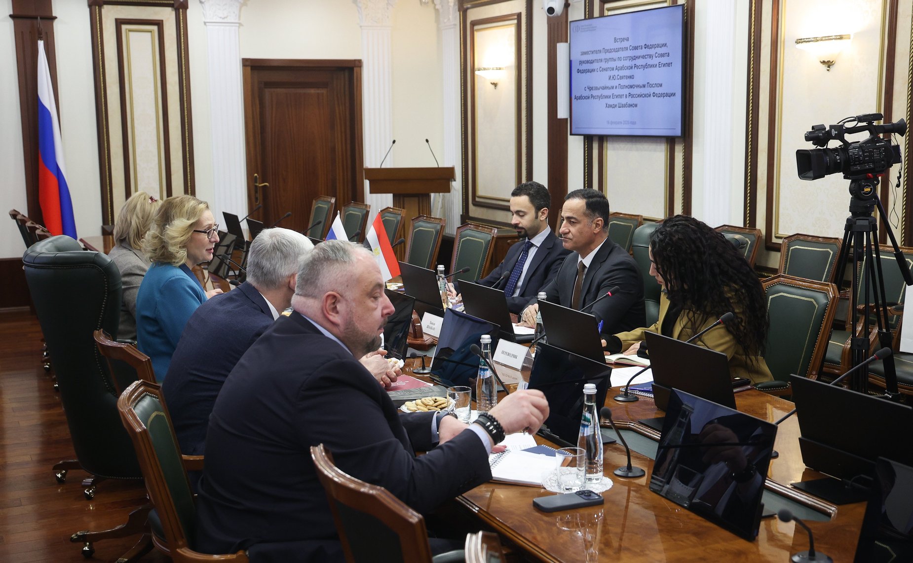 Встреча заместителя Председателя Совета Федерации Инны Святенко с Чрезвычайным и Полномочным Послом Арабской Республики Египет в Российской Федерации Хамди Шаабаном