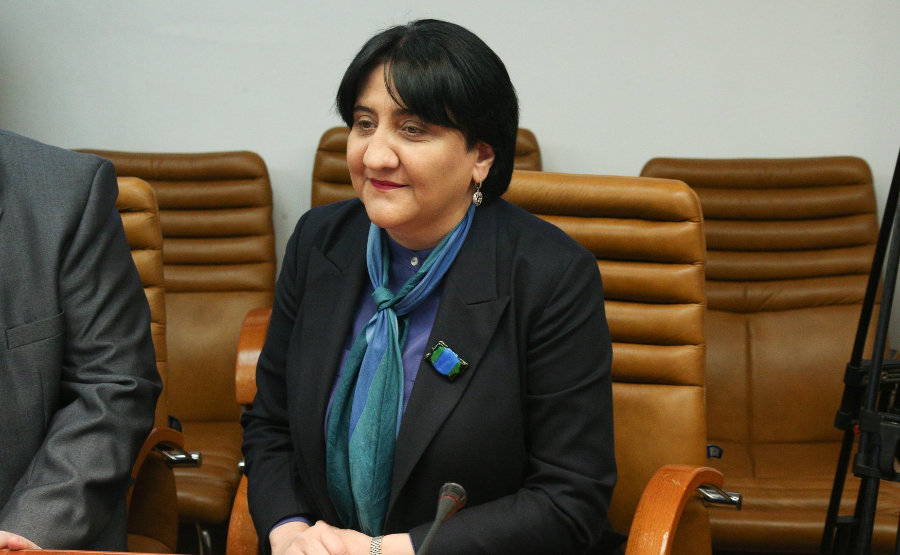 Встреча первого заместителя председателя Комитета СФ по международным делам Владимира Джабарова с делегацией политической партии «Альянс патриотов грузии» во главе с председателем фракции Д.И. Тарханом-Моурави