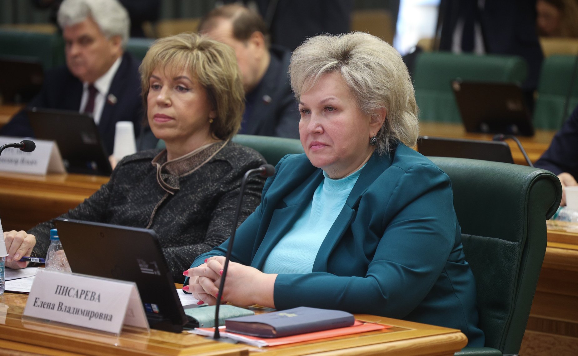 Елена Писарева