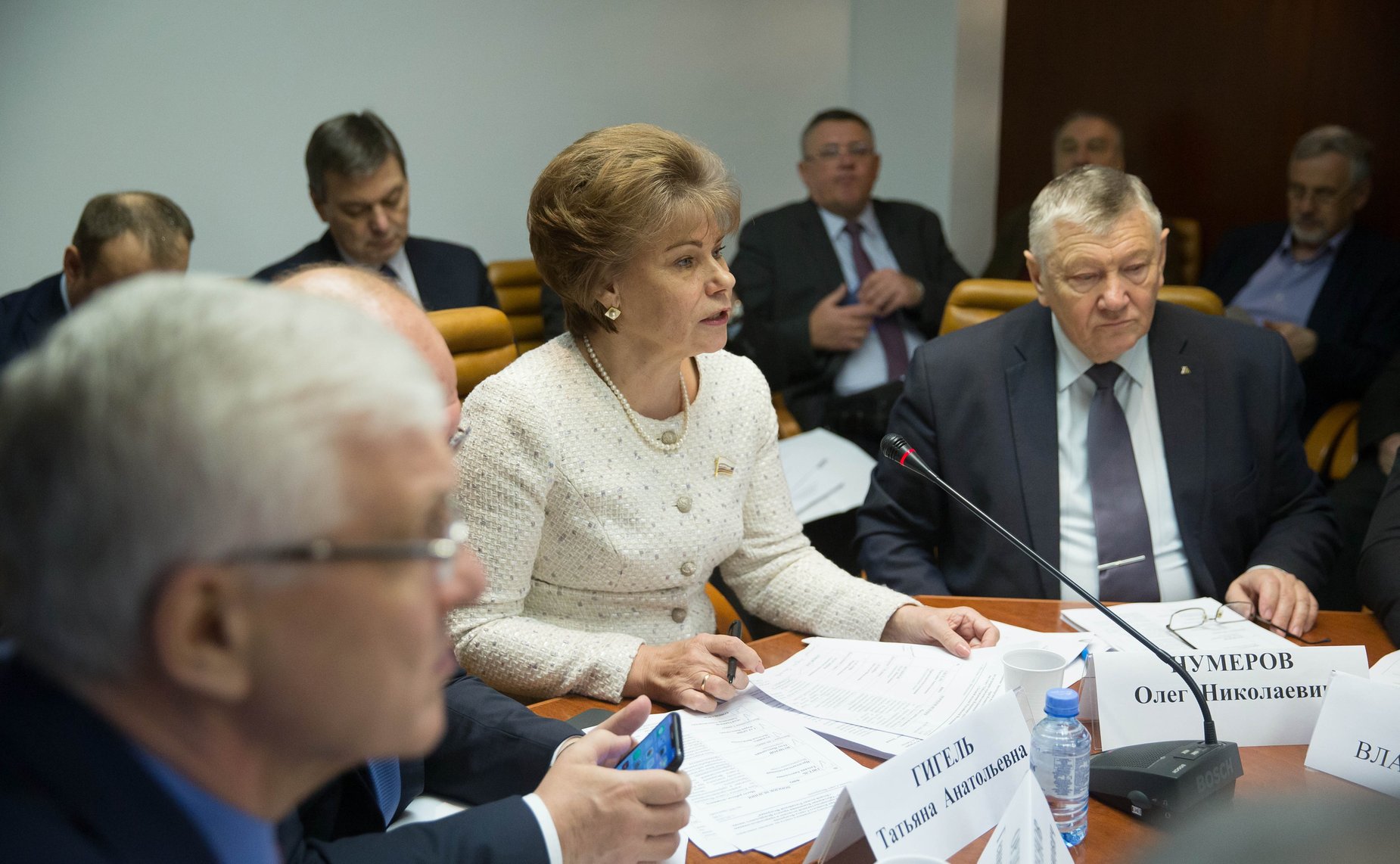 Заседание Экспертно-консультативного совета по лесному комплексу по обсуждению Концепции Лесного кодекса РФ, разработанной Российской академией наук