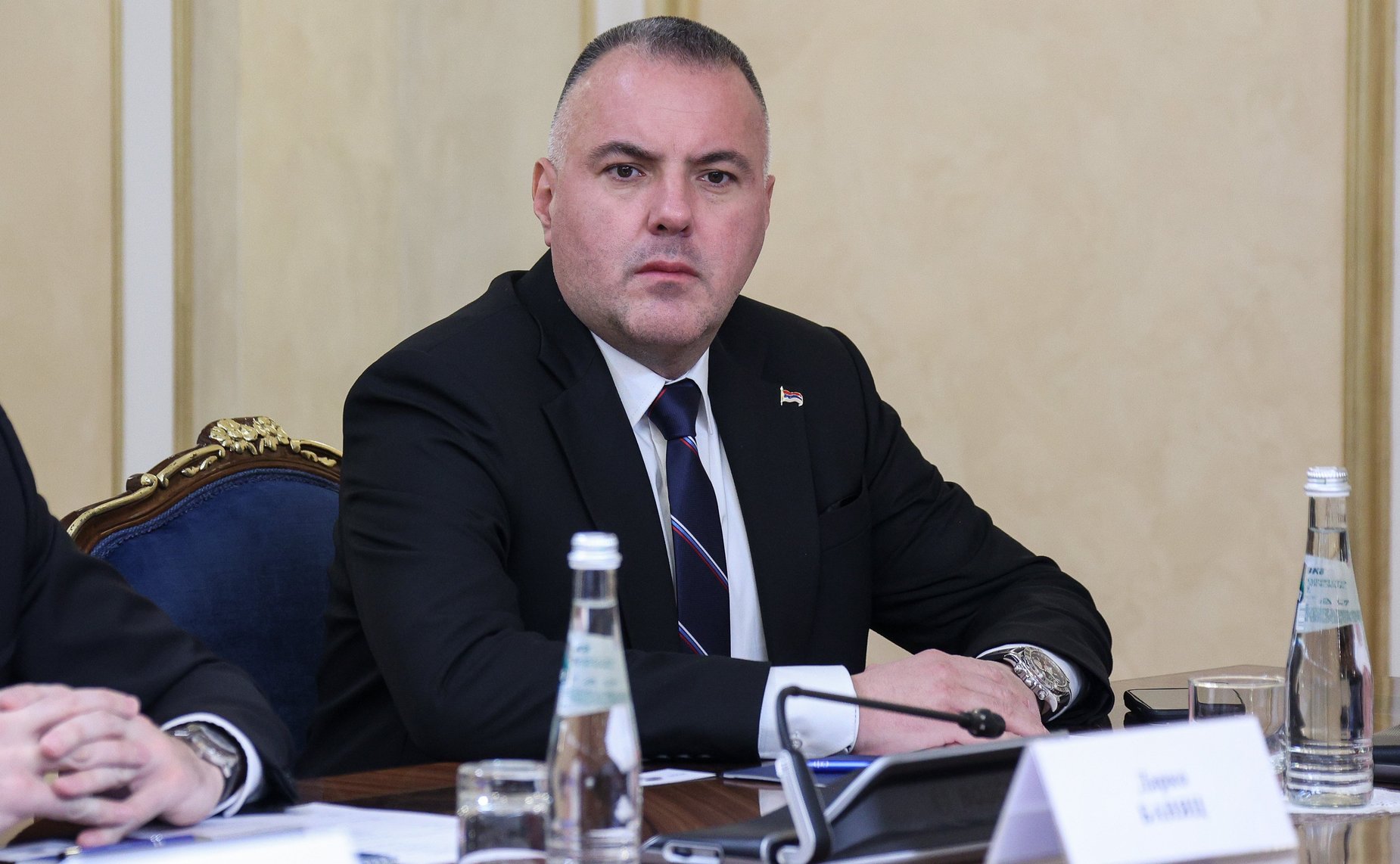 Валентина Матвиенко провела встречу с Председателем Народной скупщины Республики Сербской Ненадом Стевандичем