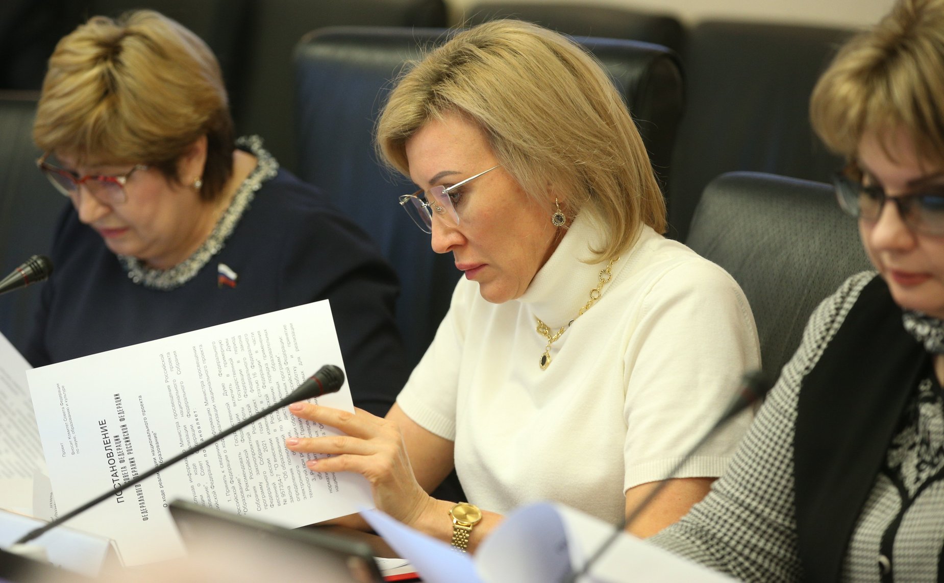 Заседание Комитета СФ по науке, образованию и культуре