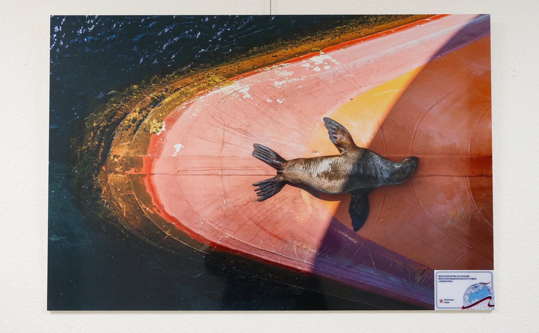 Открытие в Совете Федерации фотовыставки «Люди моря» и «Голоса погибших кораблей»