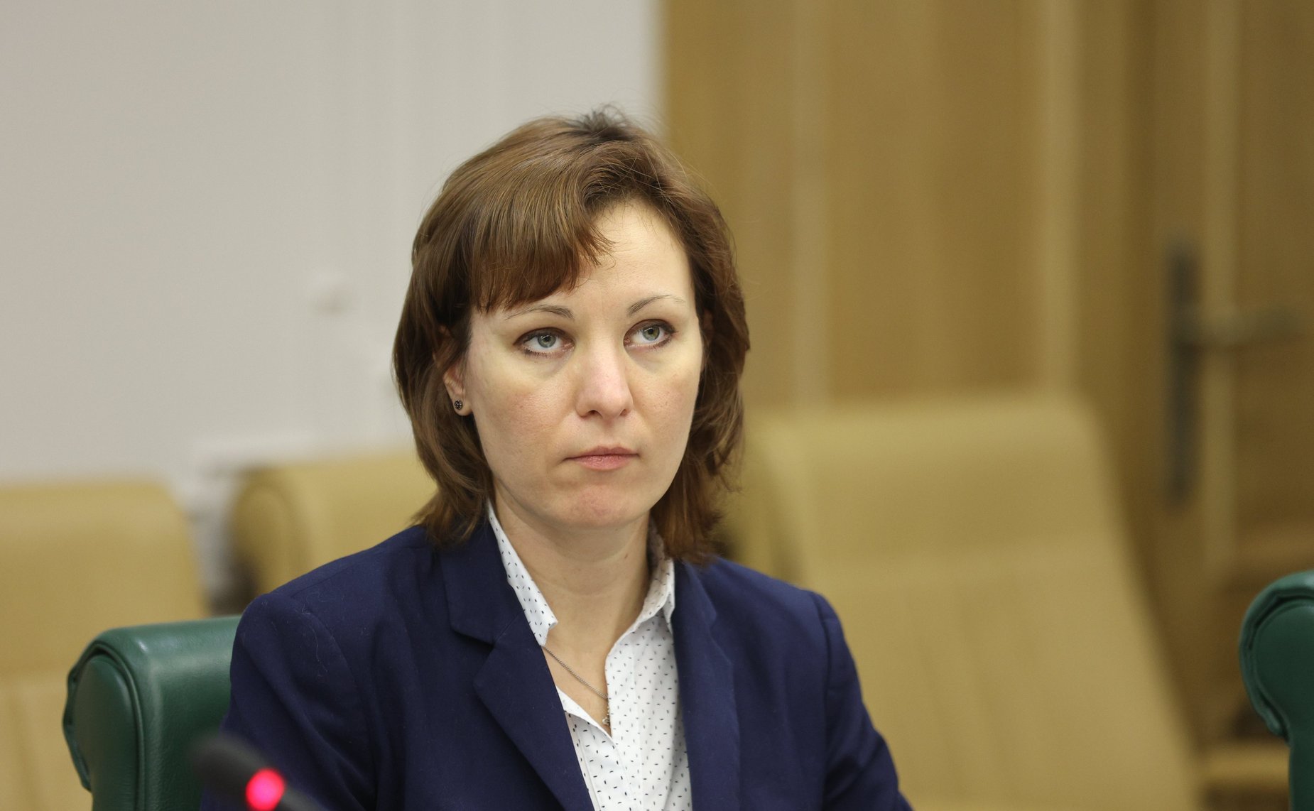 Круглый стол Комитета СФ по экономической политике совместно с Комитетом СФ по аграрно-продовольственной политике и природопользованию