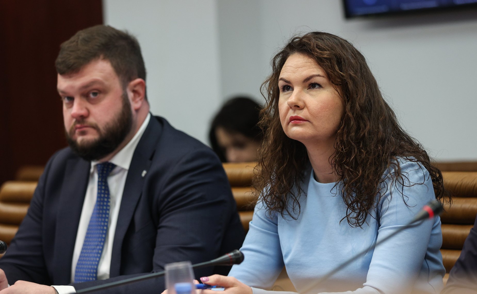 Круглый стол Комитета СФ по конституционному законодательству и государственному строительству