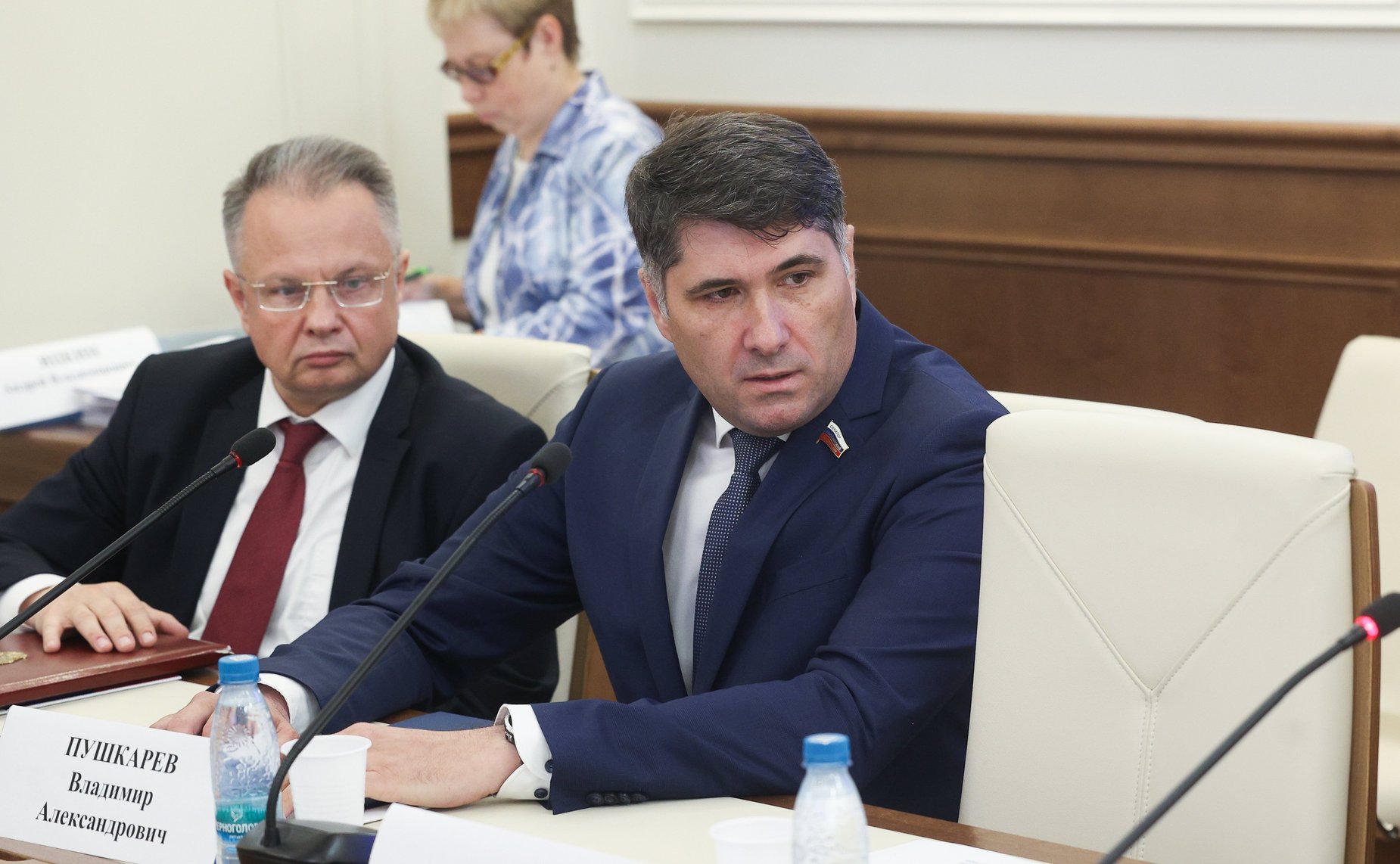 Владимир Пушкарев
