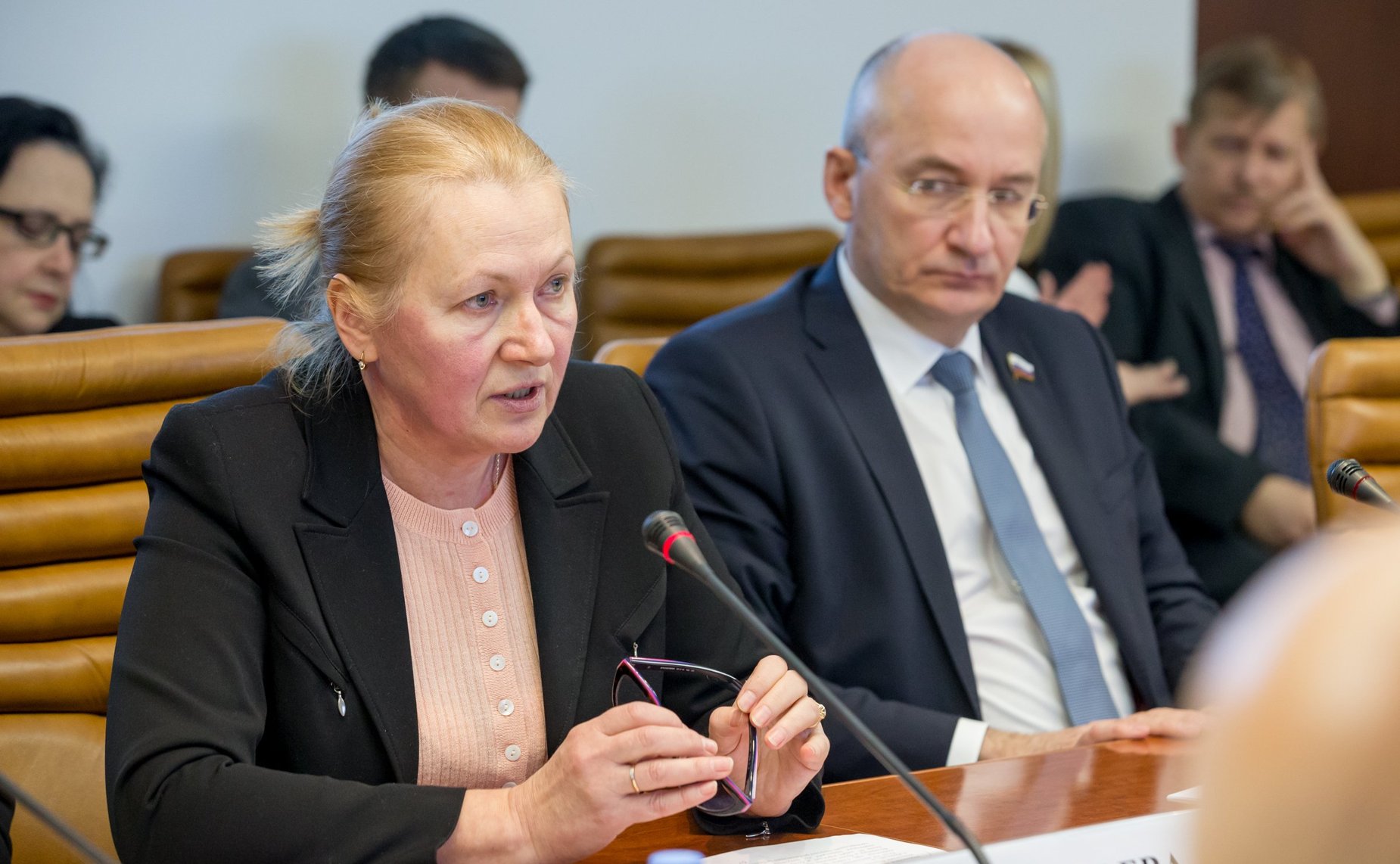 Заседание рабочей группы Совета по делам инвалидов по совершенствованию законодательства, регулирующего вопросы реабилитации инвалидов