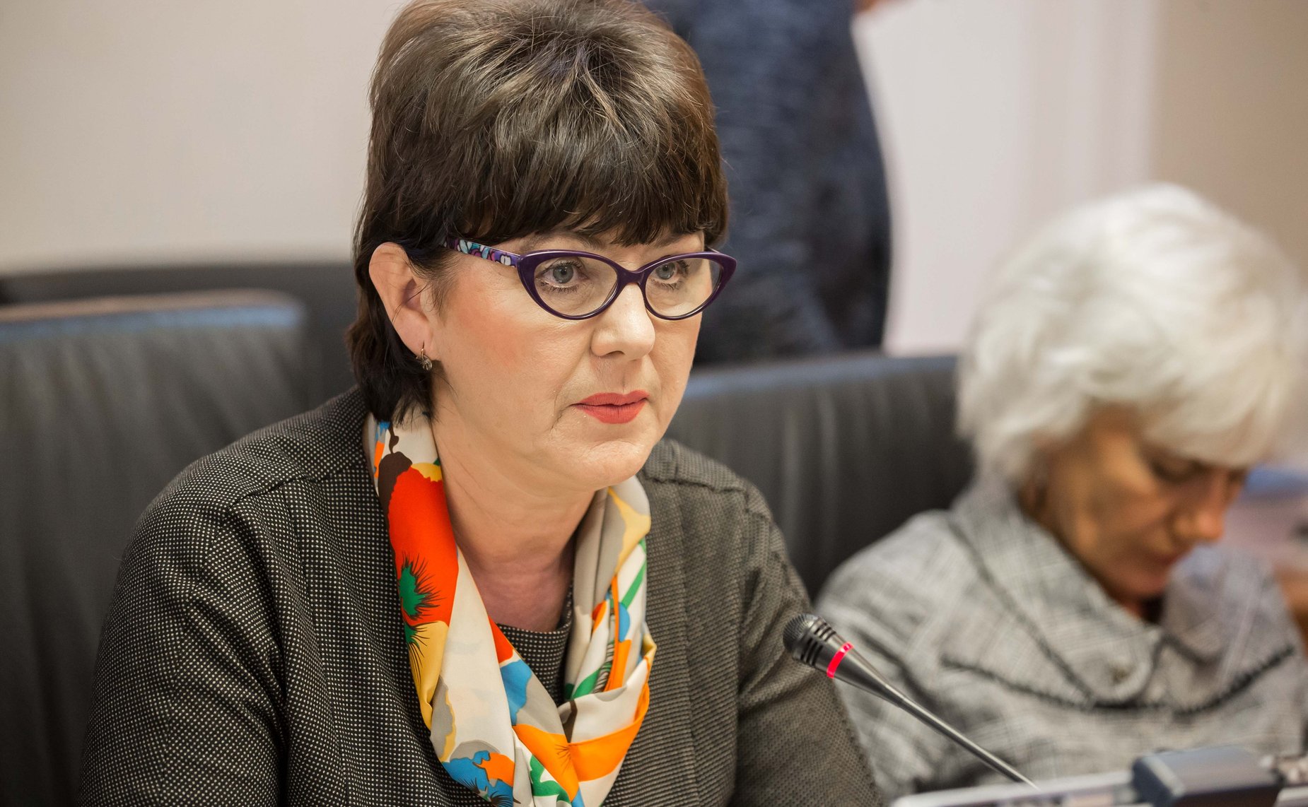 Заседание Комитета СФ по науке, образованию и культуре на тему «Комплексный подход в развитии малых исторических городов Тульской области»