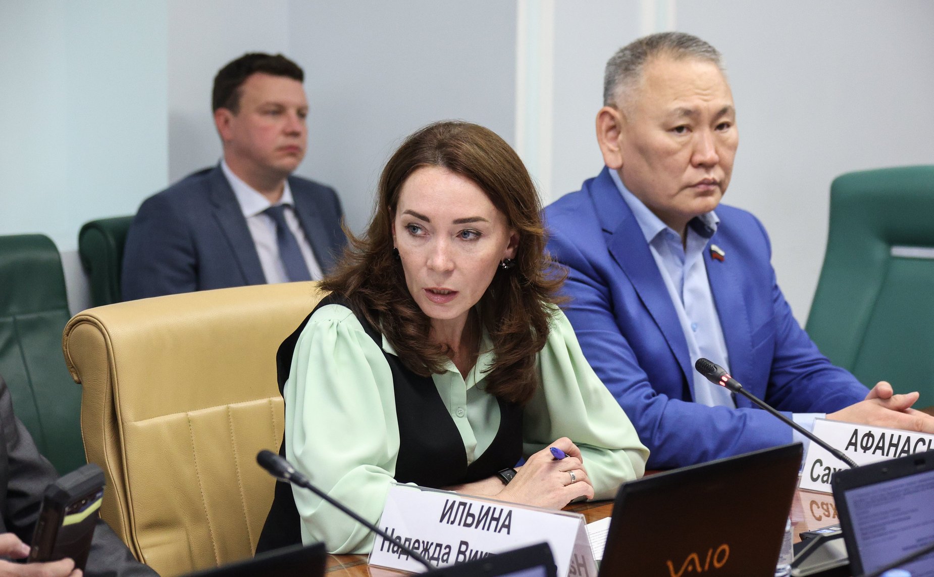 Надежда Ильина