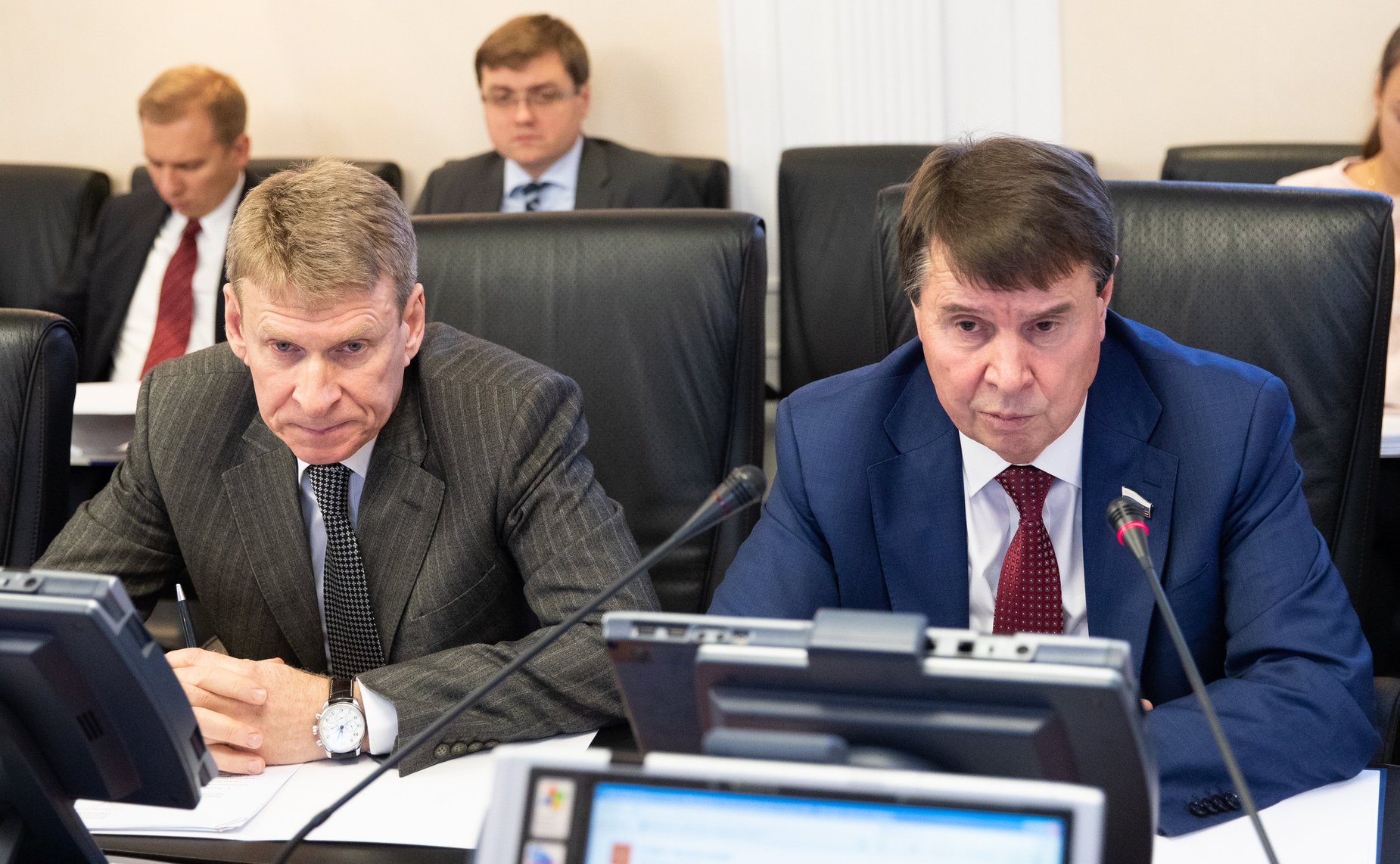 Заседание Комитета СФ по международным делам