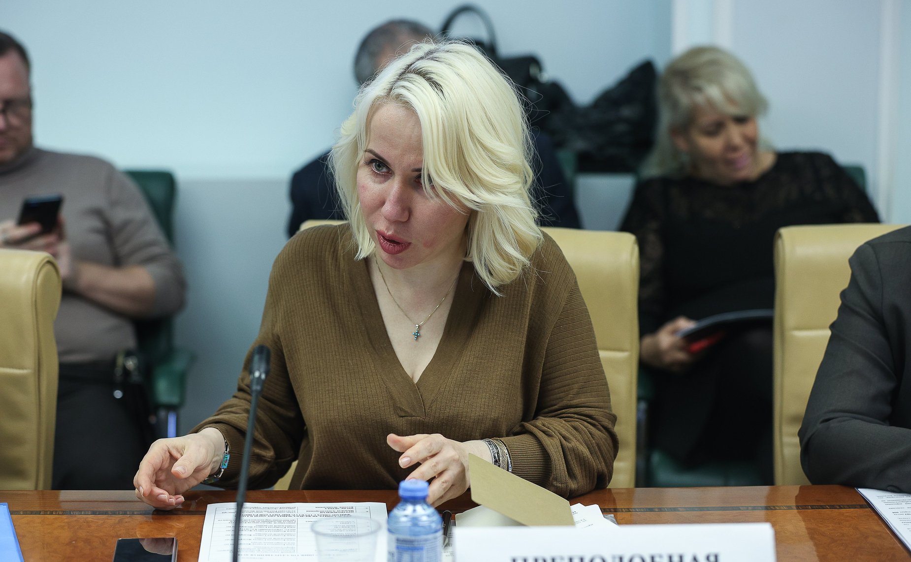 Круглый стол Комитета СФ по аграрно-продовольственной политике и природопользованию совместно с Комитетом СФ по социальной политике по вопросам развитию народных промыслов в сельской местности