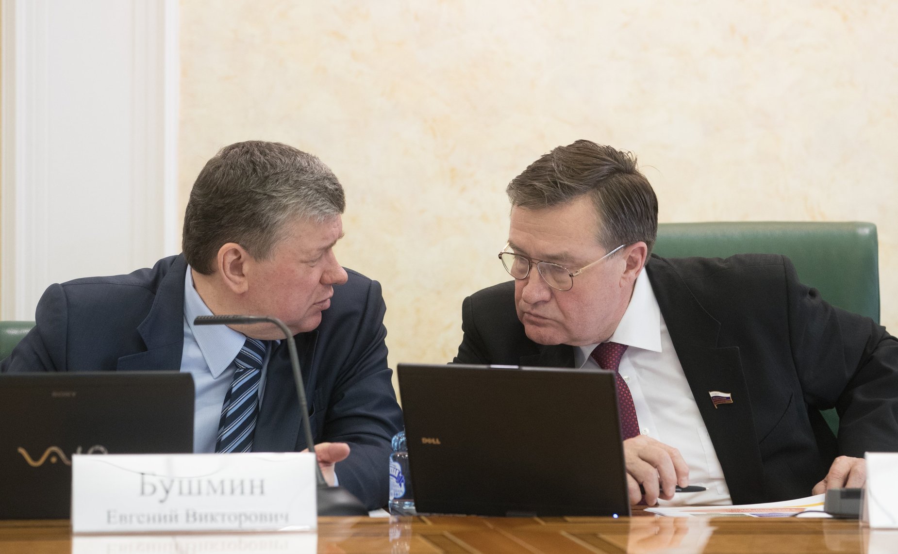 Е. Бушмин и С. Рябухин