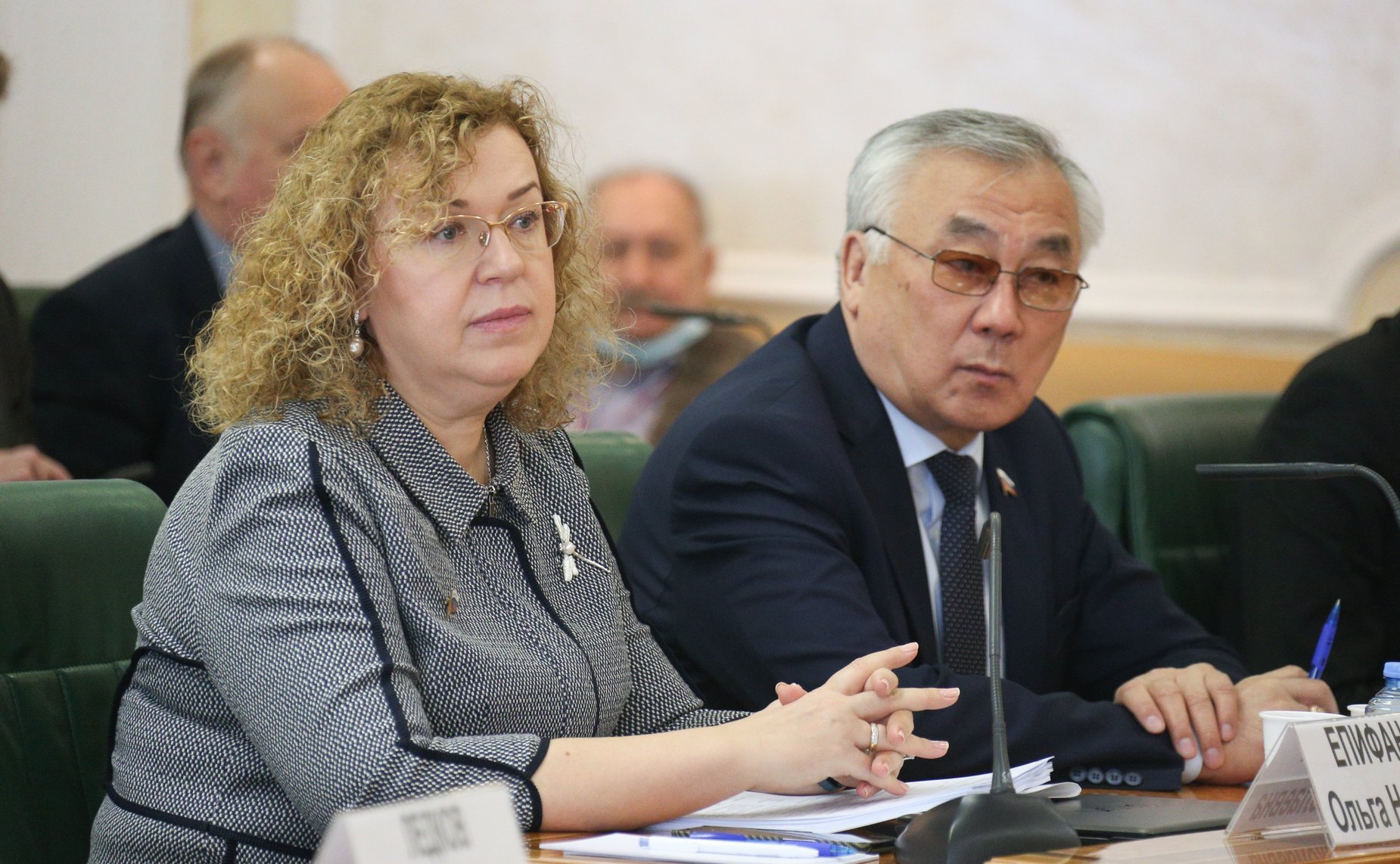 Заседание Совета по вопросам развития Дальнего Востока, Арктики и Антарктики при СФ