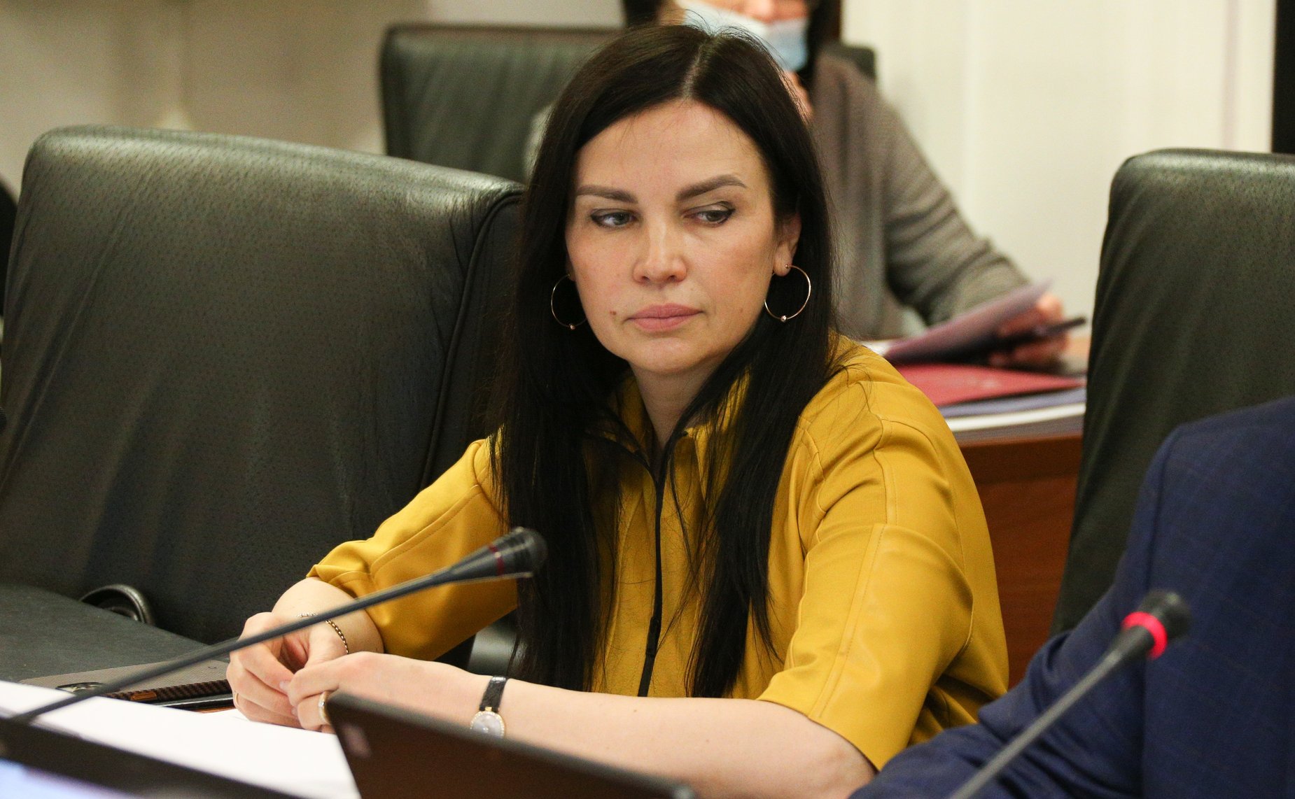 Расширенное заседание Комитета СФ по международным делам