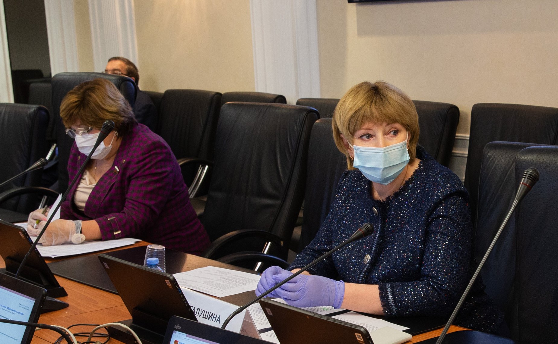 Заседание Комитета СФ по науке, образованию и культуре