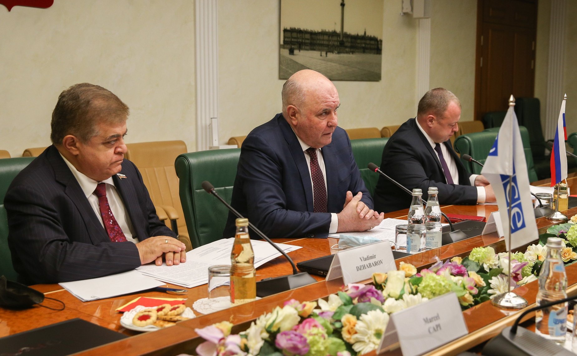 Встреча председателя Комитета СФ по международным делам Григория Карасина со специальным представителем Действующего председателя ОБСЕ по Южному Кавказу