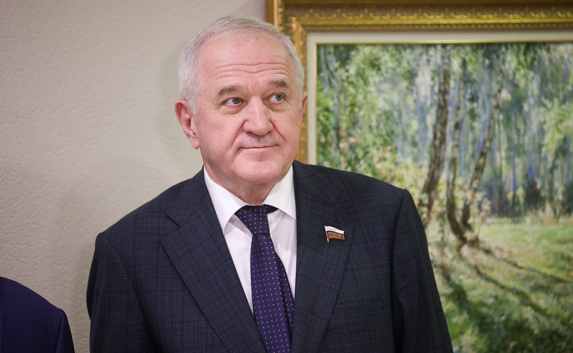 Владимир Булавин