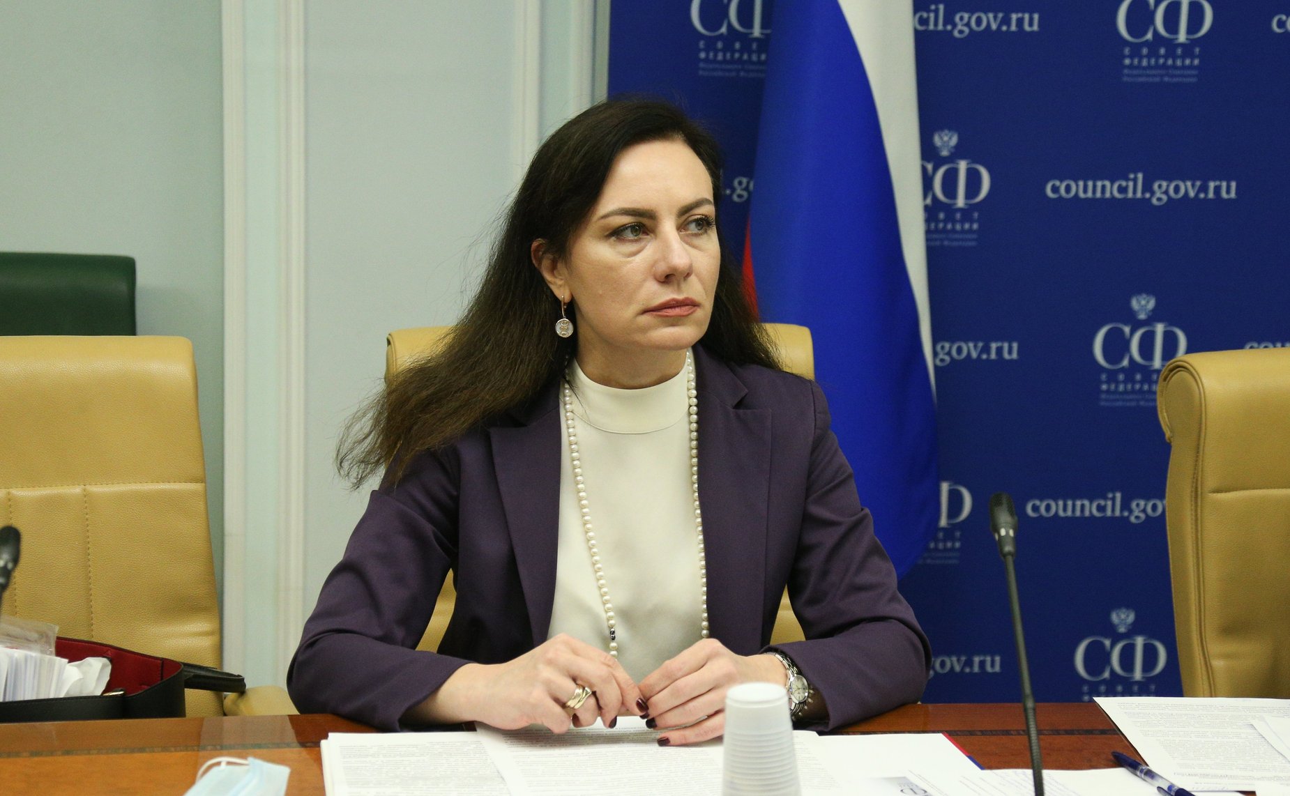 Заседание рабочей группы Комитета СФ по конституционному законодательству и государственному строительству