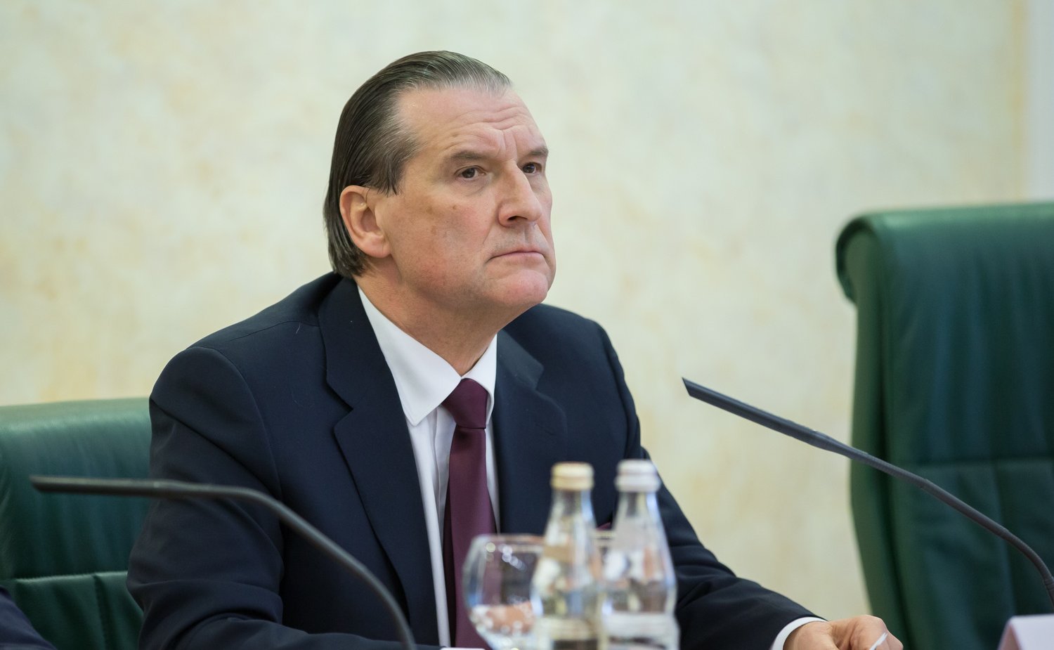 А. Александров Парламентские слушания 16