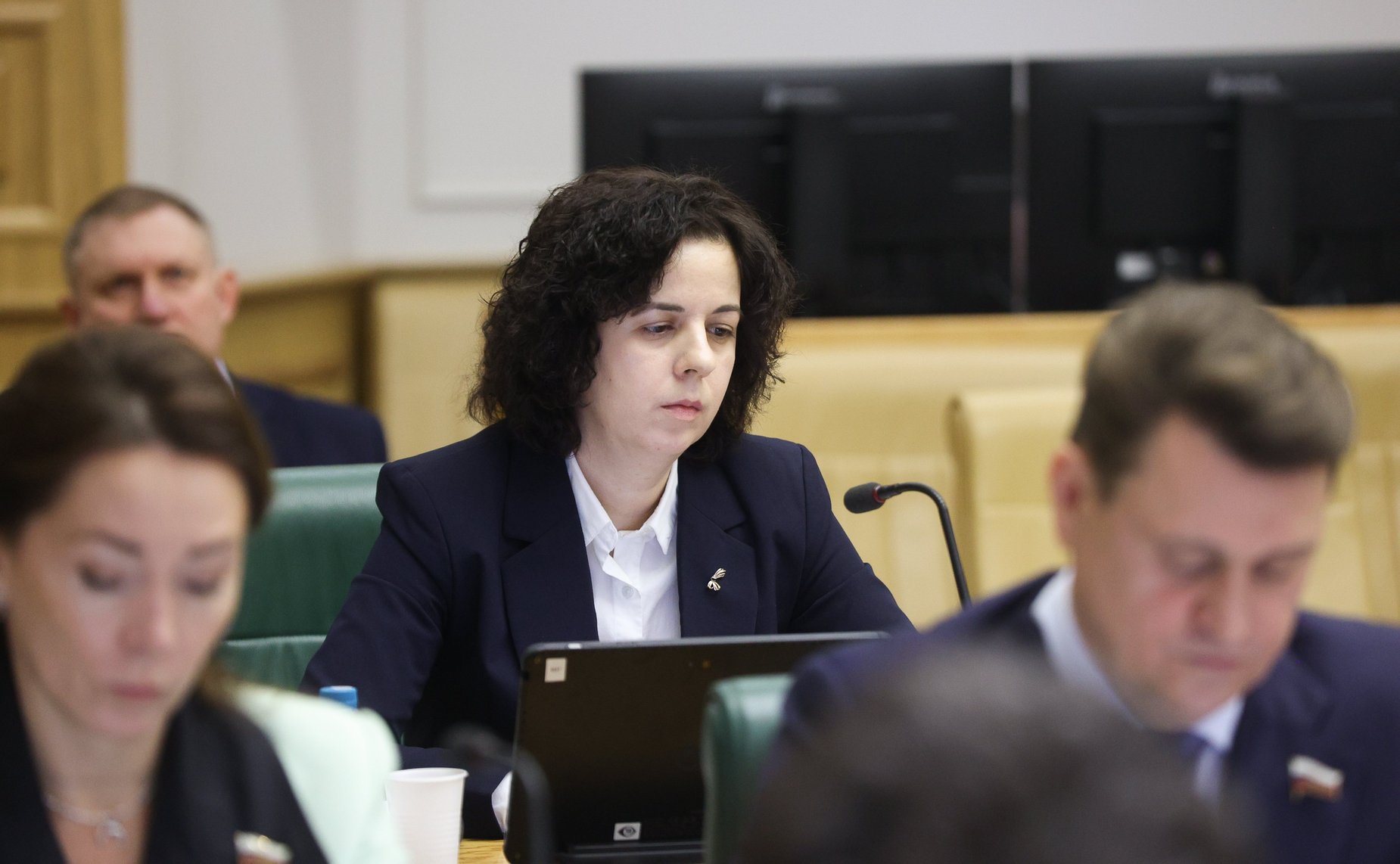 Заседание Комитета СФ по федеративному устройству, региональной политике, местному самоуправлению и делам Севера