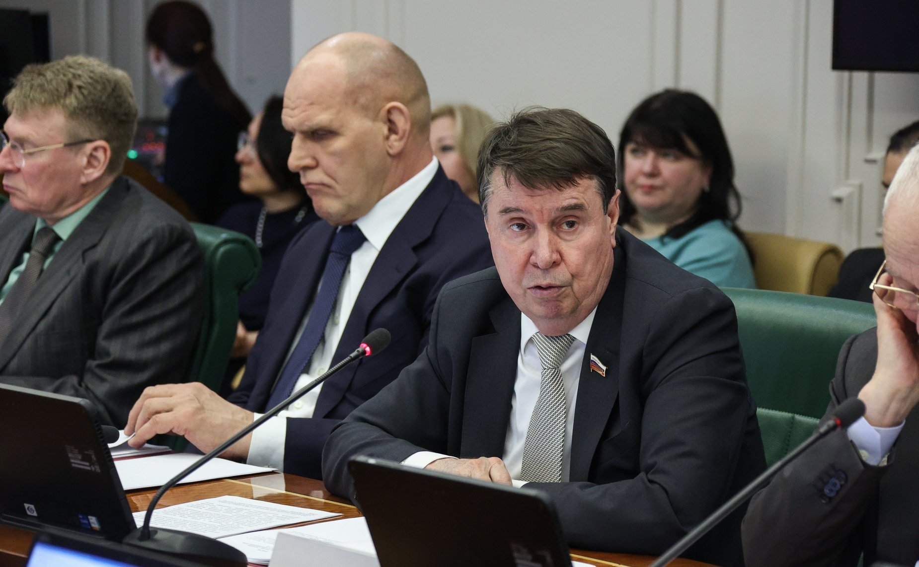 Заседание Комитета СФ по международным делам