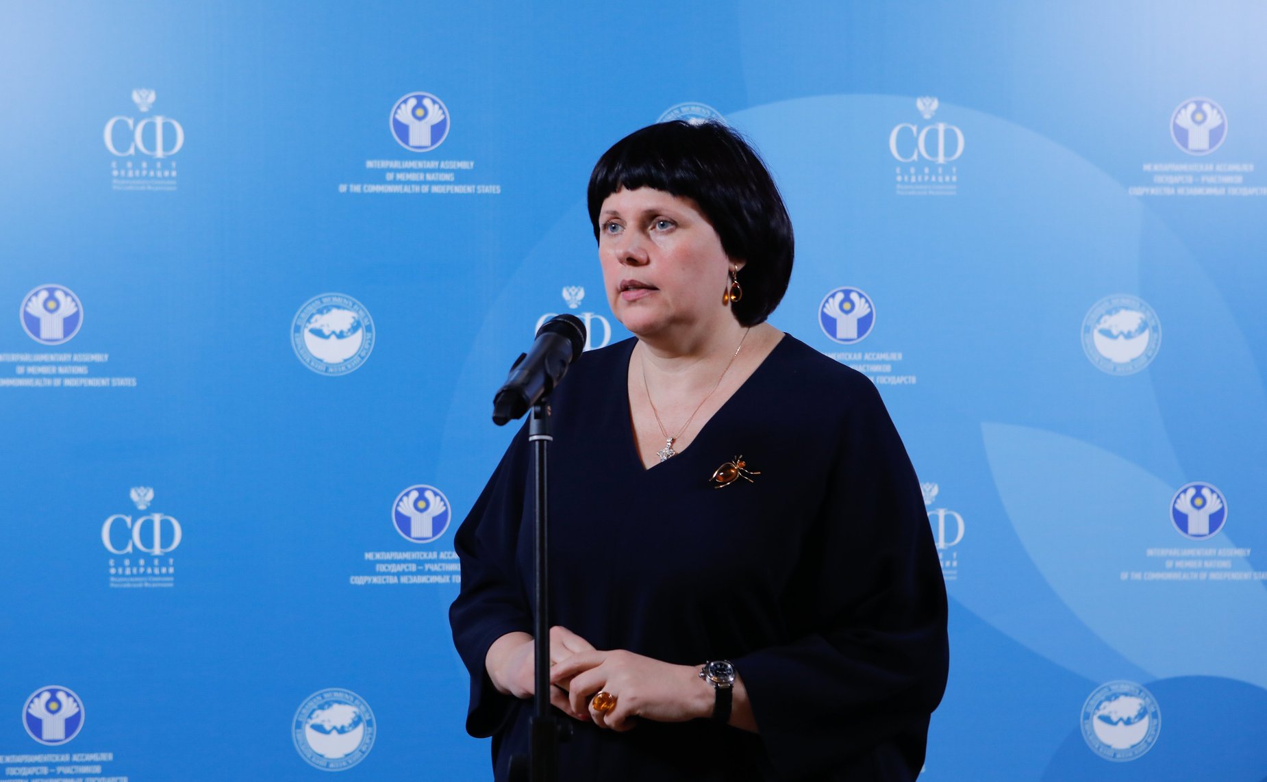 Брифинг Елены Афанасьевой