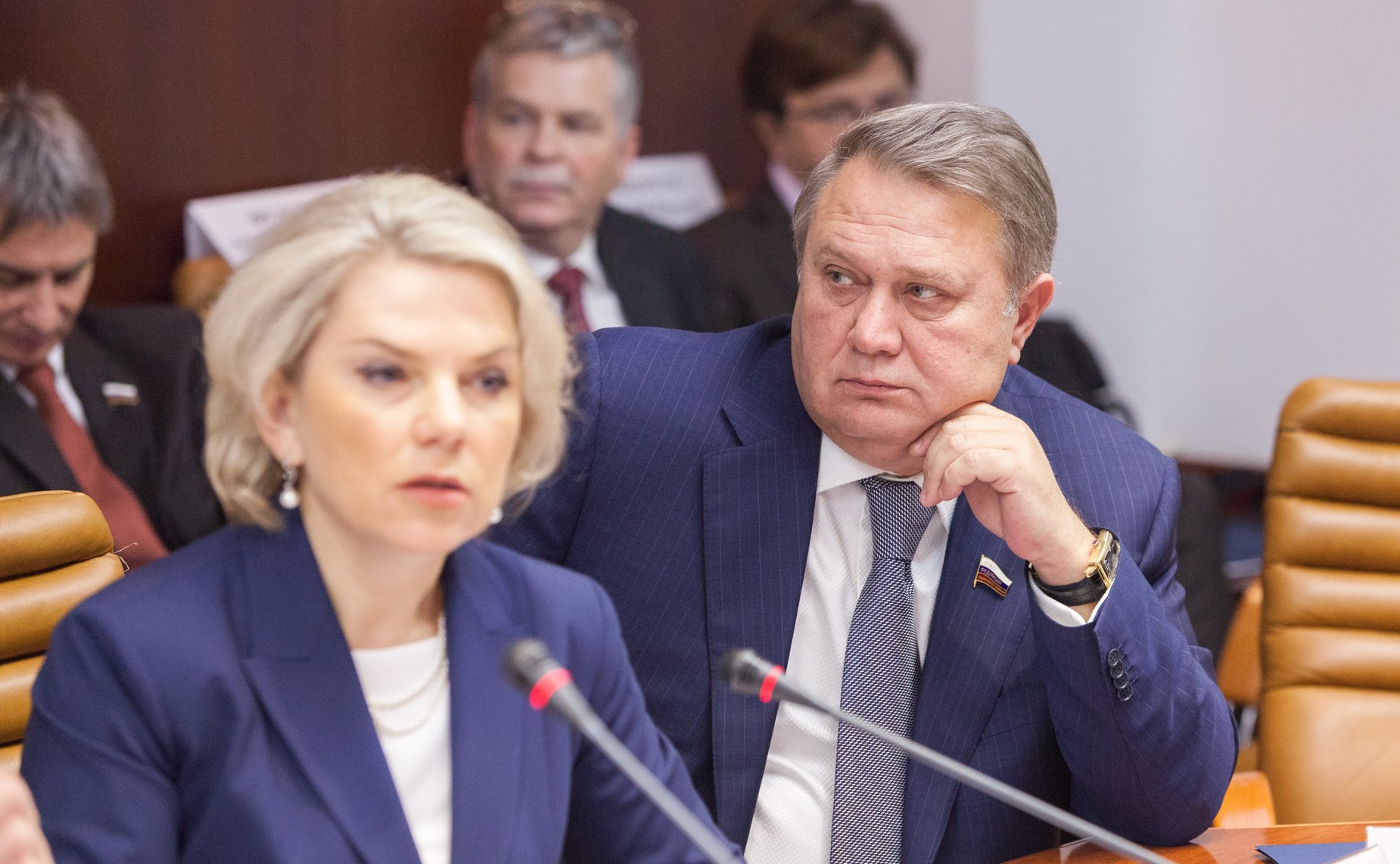 Заседание комитета по федеративному устройству, региональной политике, местному самоуправлению и делам Севера