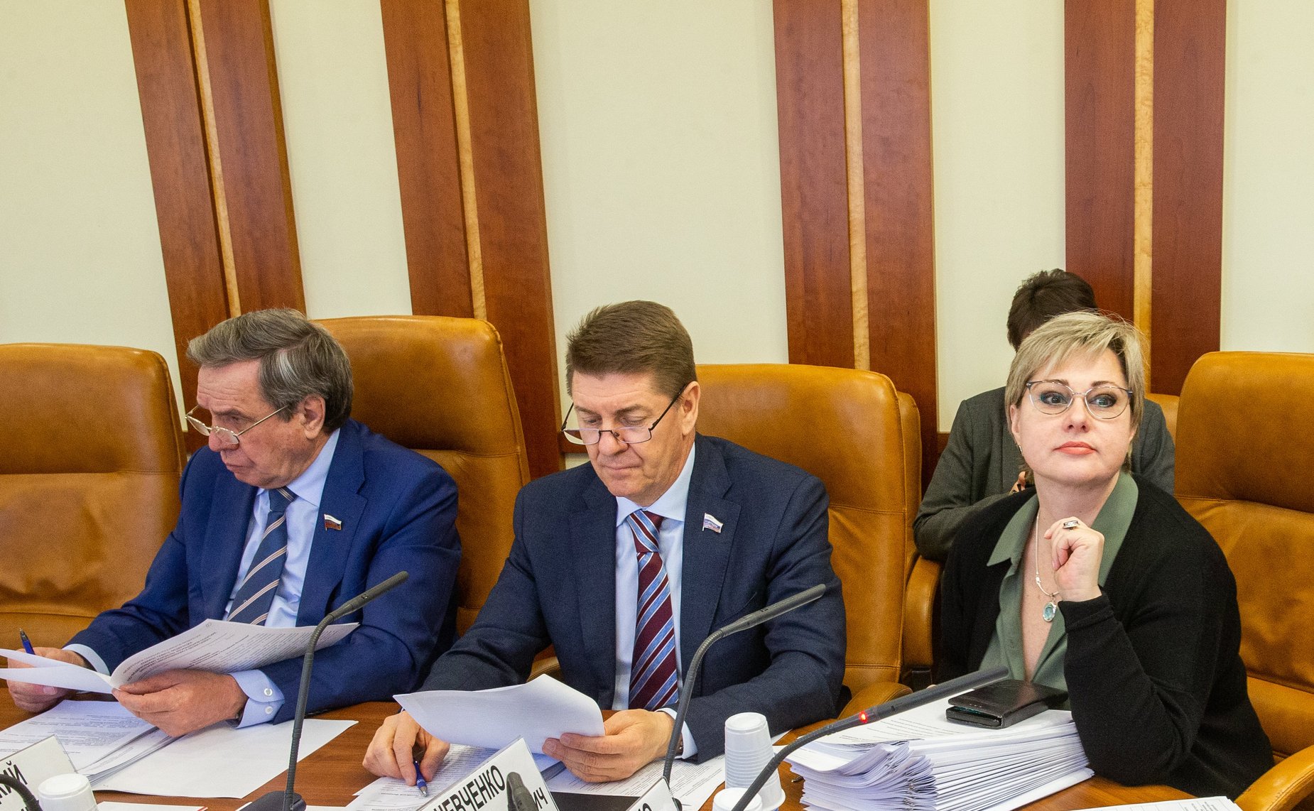 Заседание Комитета СФ по федеративному устройству, региональной политике, местному самоуправлению и делам Севера