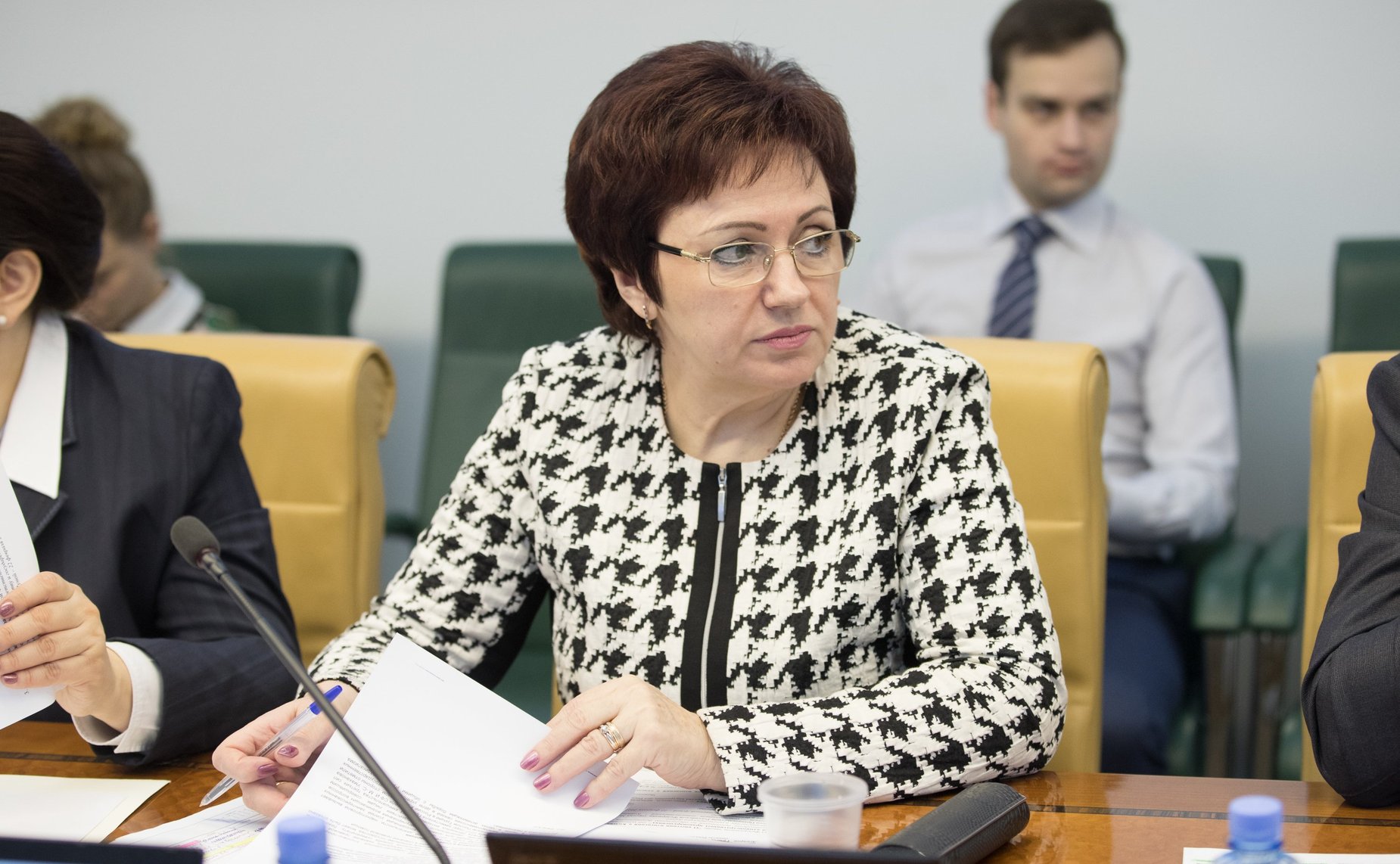 Е. Бибикова