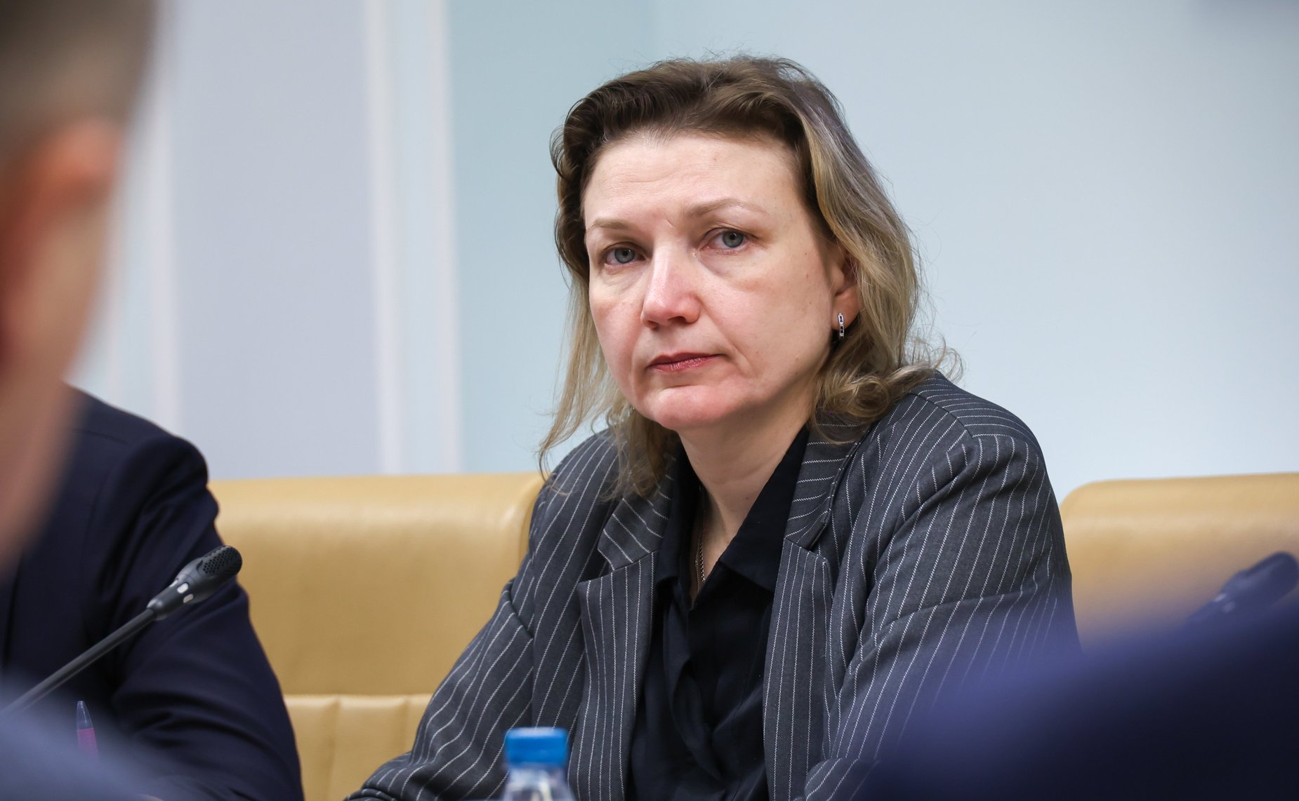 Круглый стол на тему «Инфраструктура поддержки субъектов малого и среднего предпринимательства в условиях реализации национального проекта «Эффективная и конкурентная экономика»