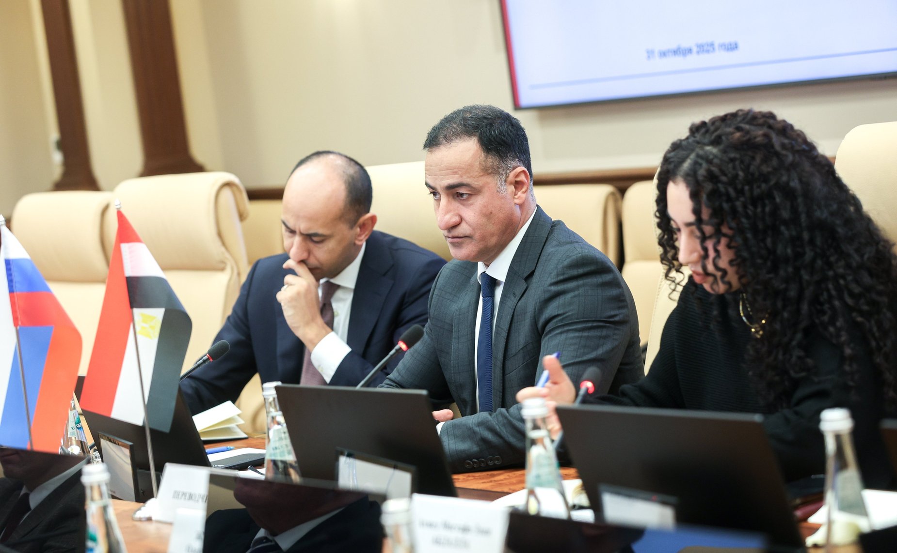 Встреча Григория Карасина с Чрезвычайным и Полномочным Послом Арабской Республики Египет в Российской Федерации