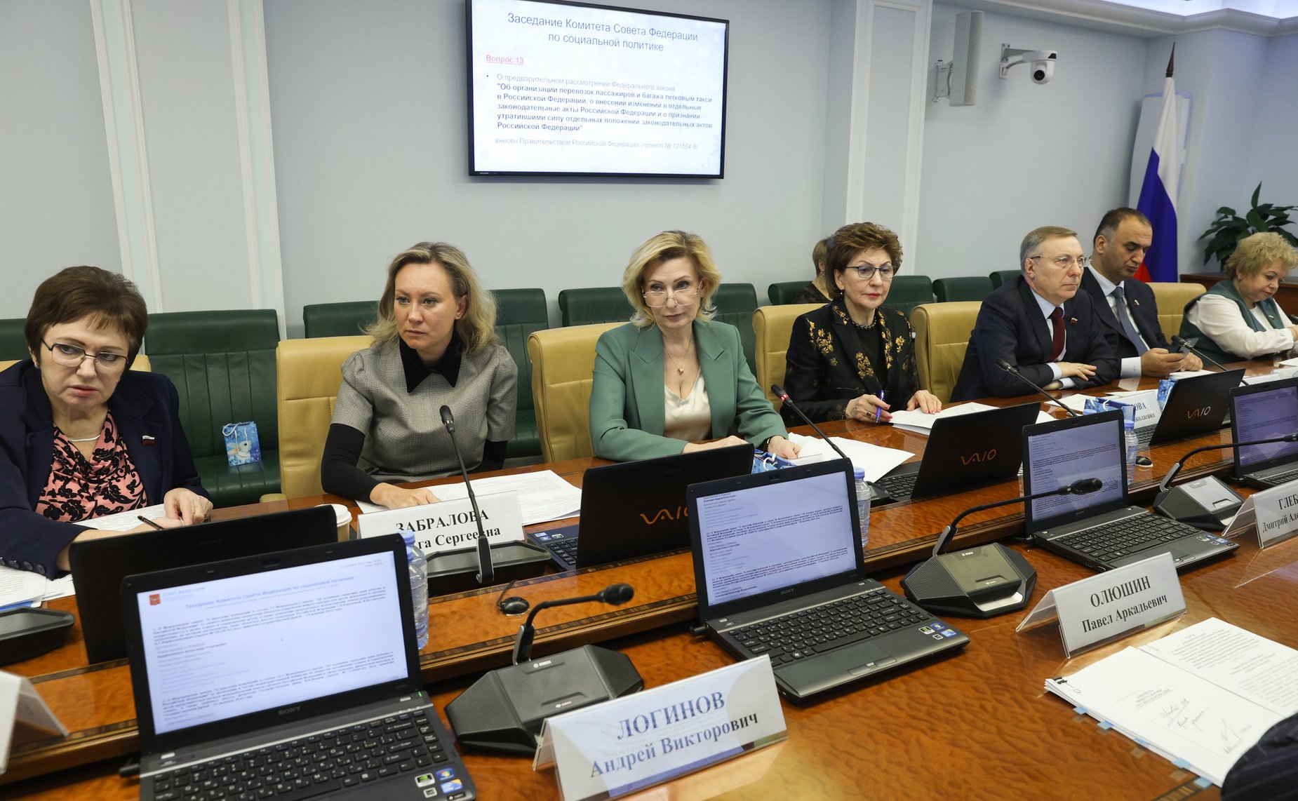 Заседание Комитета СФ по социальной политике