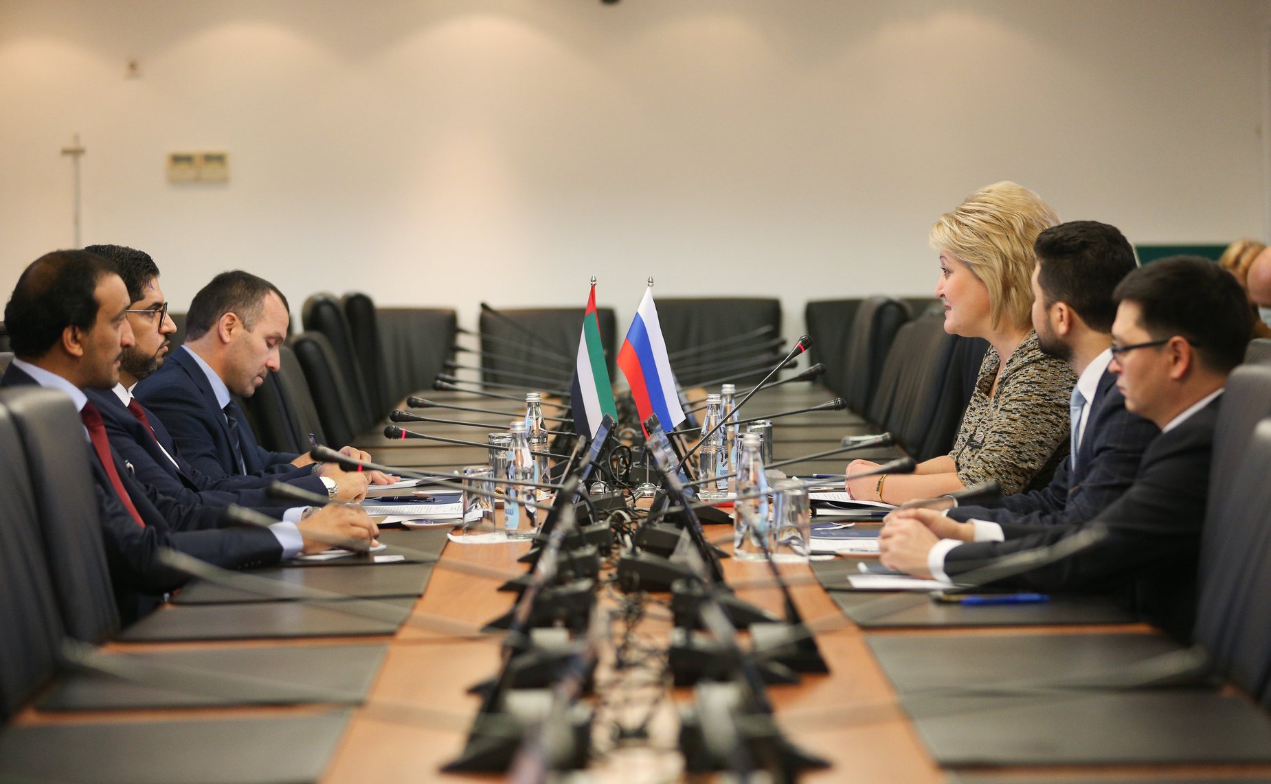 Встреча председателя Комитета СФ по науке, образованию и культуре Лилии Гумеровой с Чрезвычайным и Полномочным Послом Объединенных Арабских Эмиратов в РФ Мохаммедом Аль-Джабером