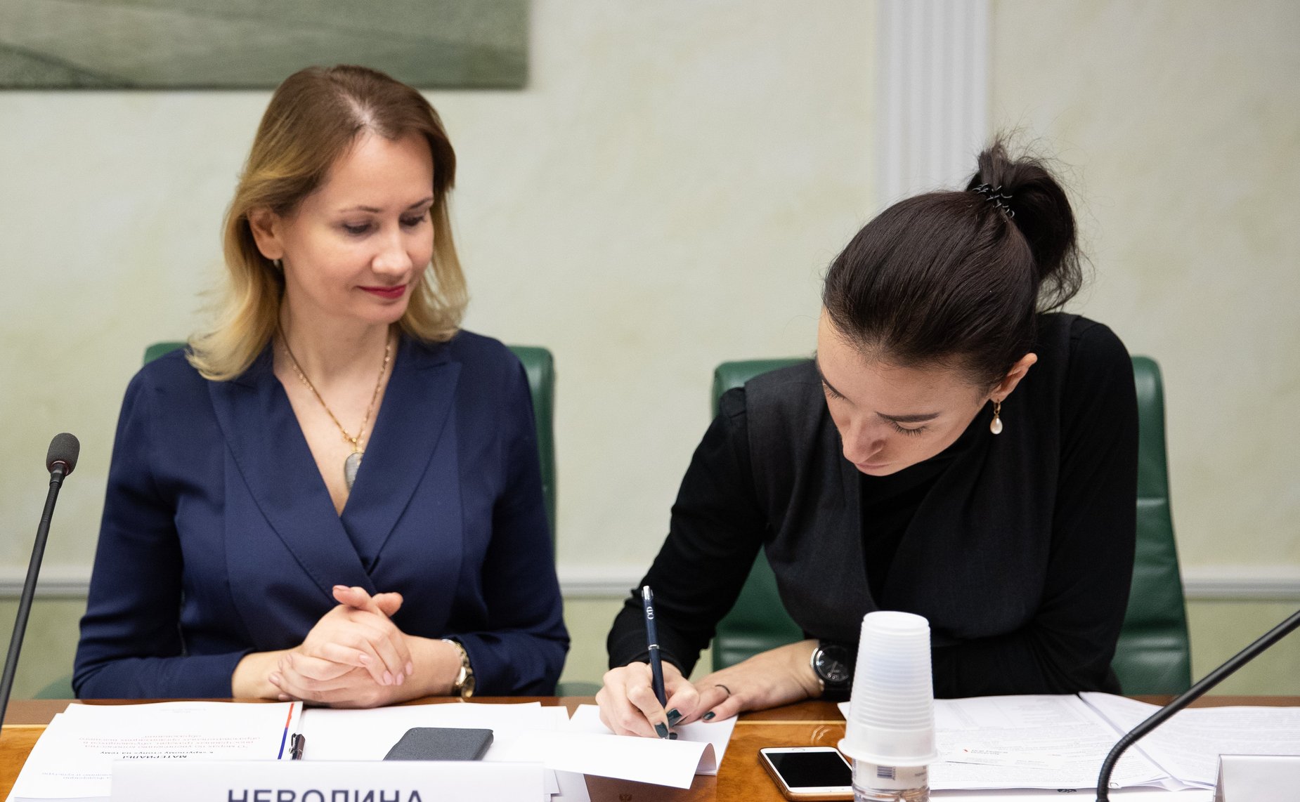 «Круглый стол» Комитета СФ по науке, образованию и культуре