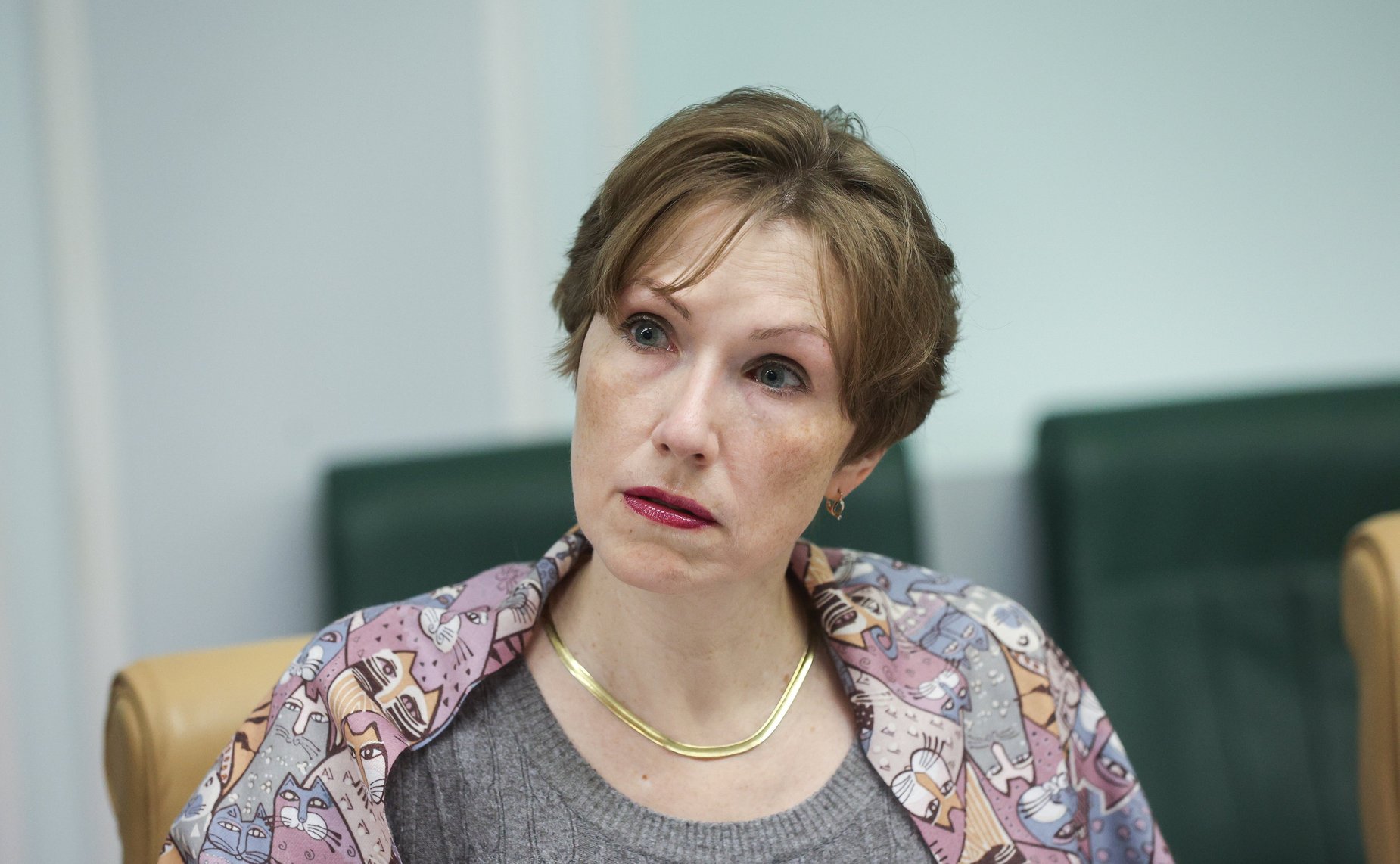 Совещание Комитета СФ по Регламенту и организации парламентской деятельности