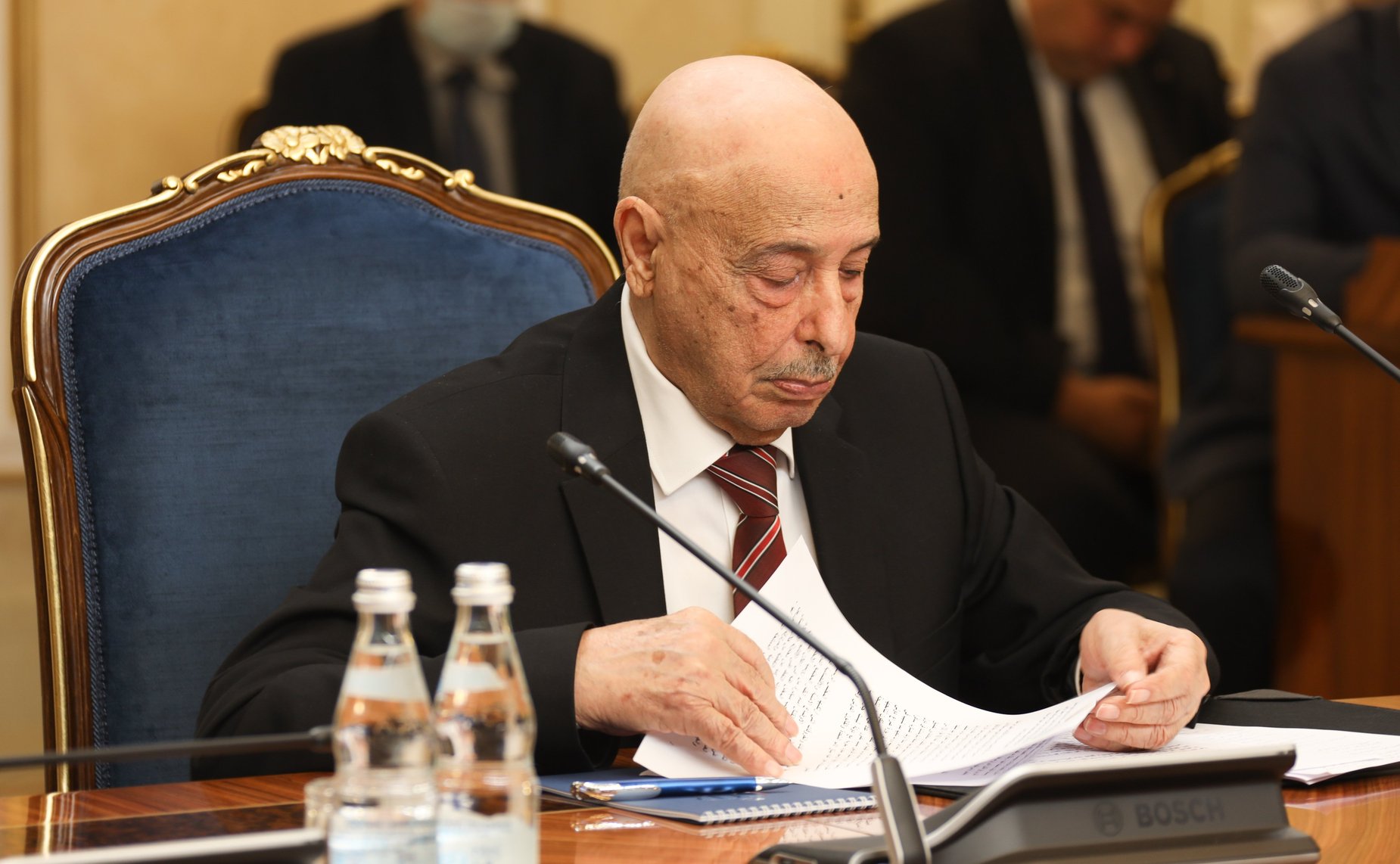 Председатель Палаты депутатов Государства Ливия Агила Салех