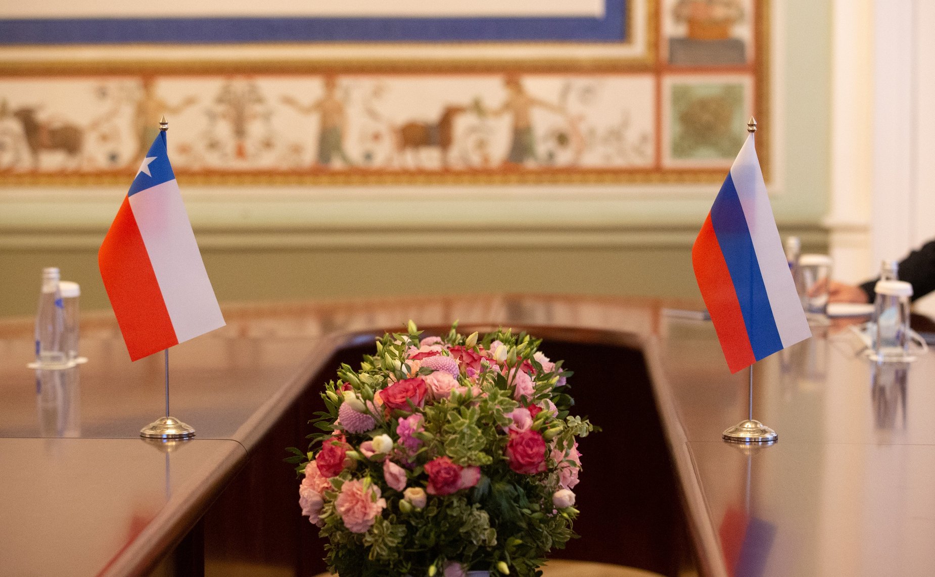 Валентина Матвиенко провела встречу с Председателем Сената Национального Конгресса Республики Чили Хименой Сесилией Ринкон Гонсалес