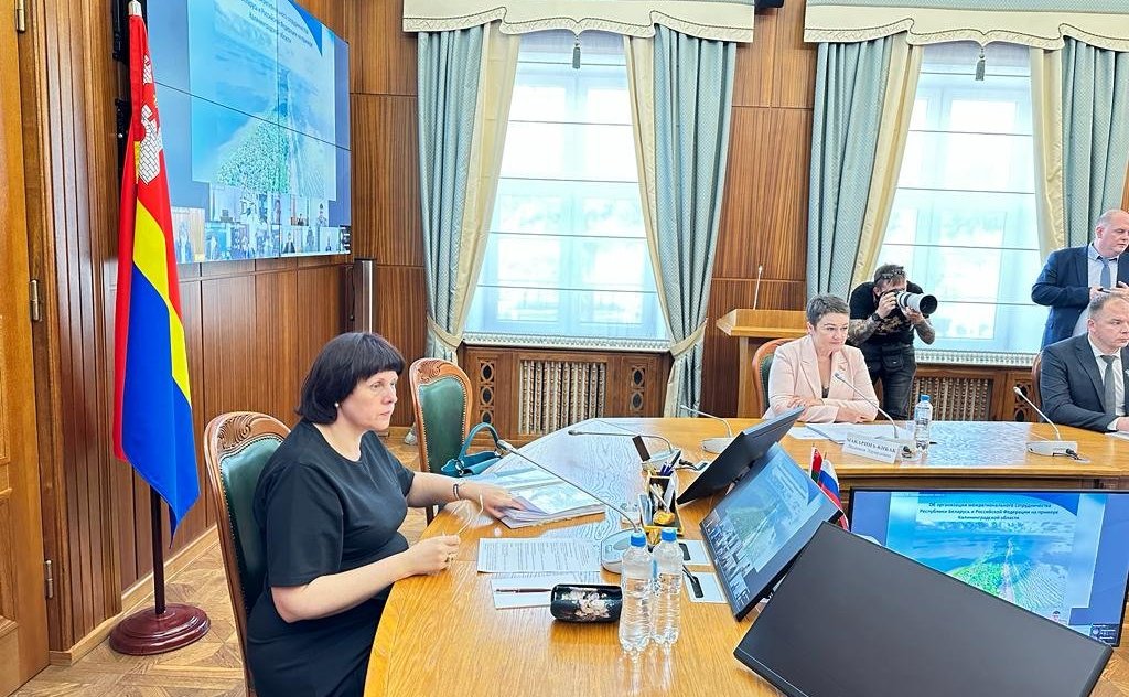 Елена Афанасьева провела заседание Комиссии Парламентского Собрания Союза Беларуси и России по труду, социальной политике и здравоохранению
