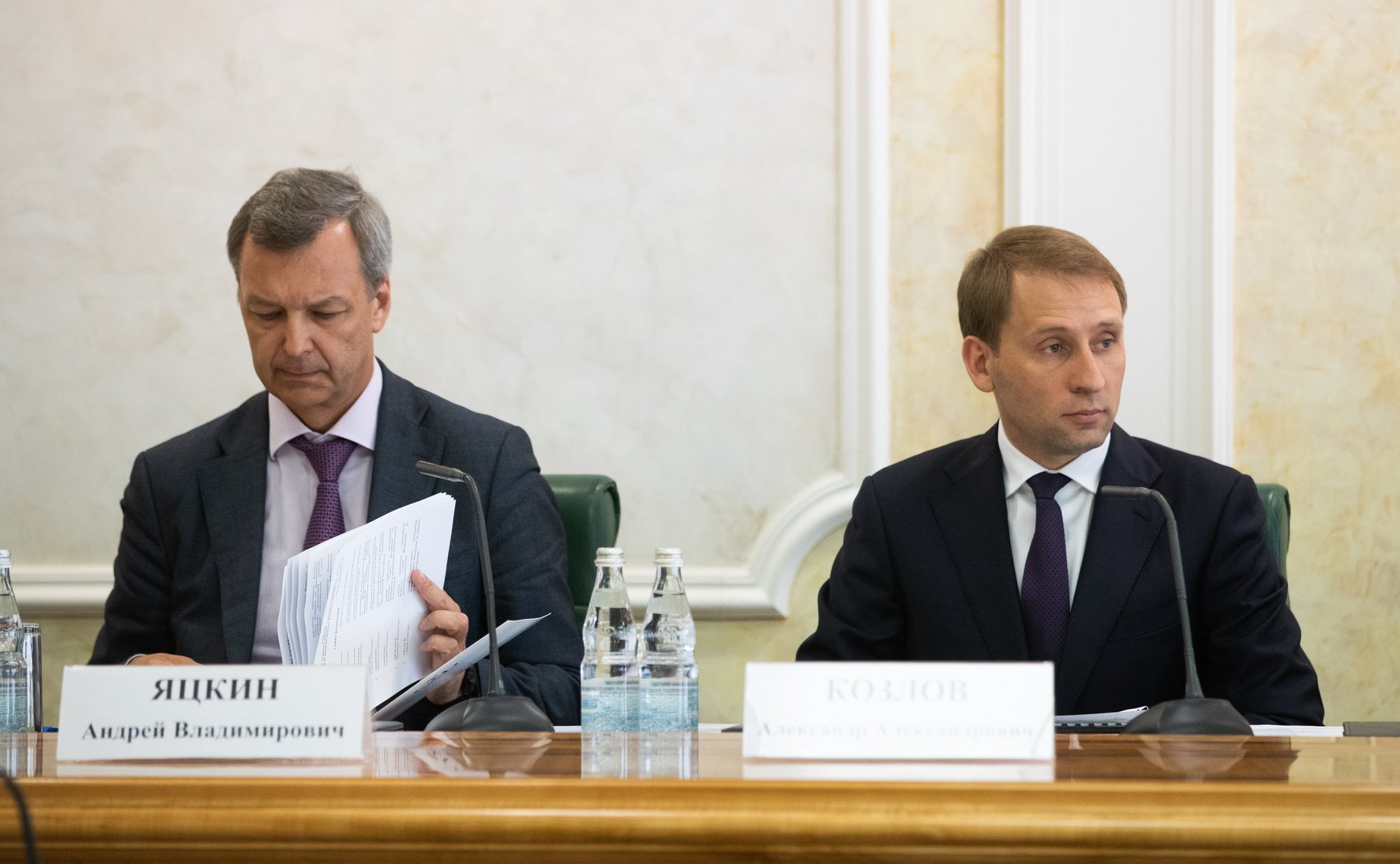 Андрей Яцкин и Александр Козлов