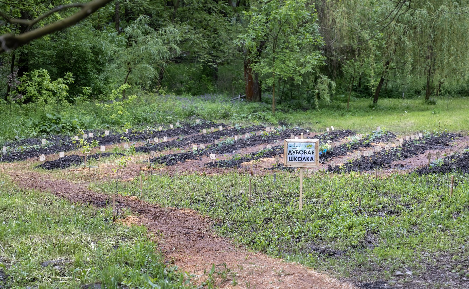 Рабочая поездка первого заместителя Председателя Совета Федерации Андрея Яцкина в Ростовскую область